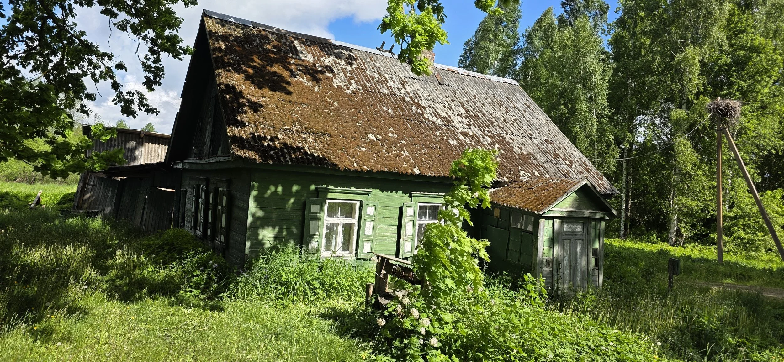 20260527_100919.jpg
