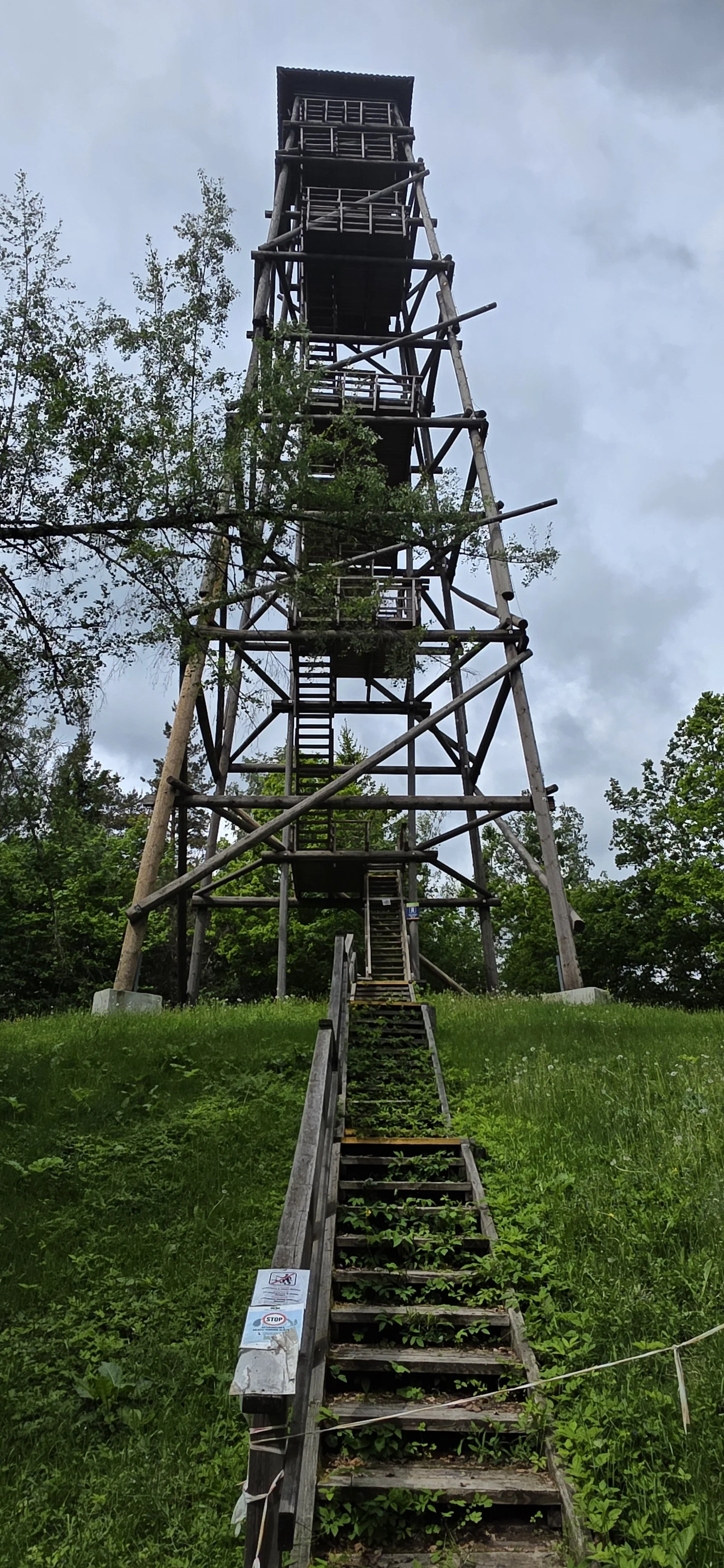 20260528_120346.jpg