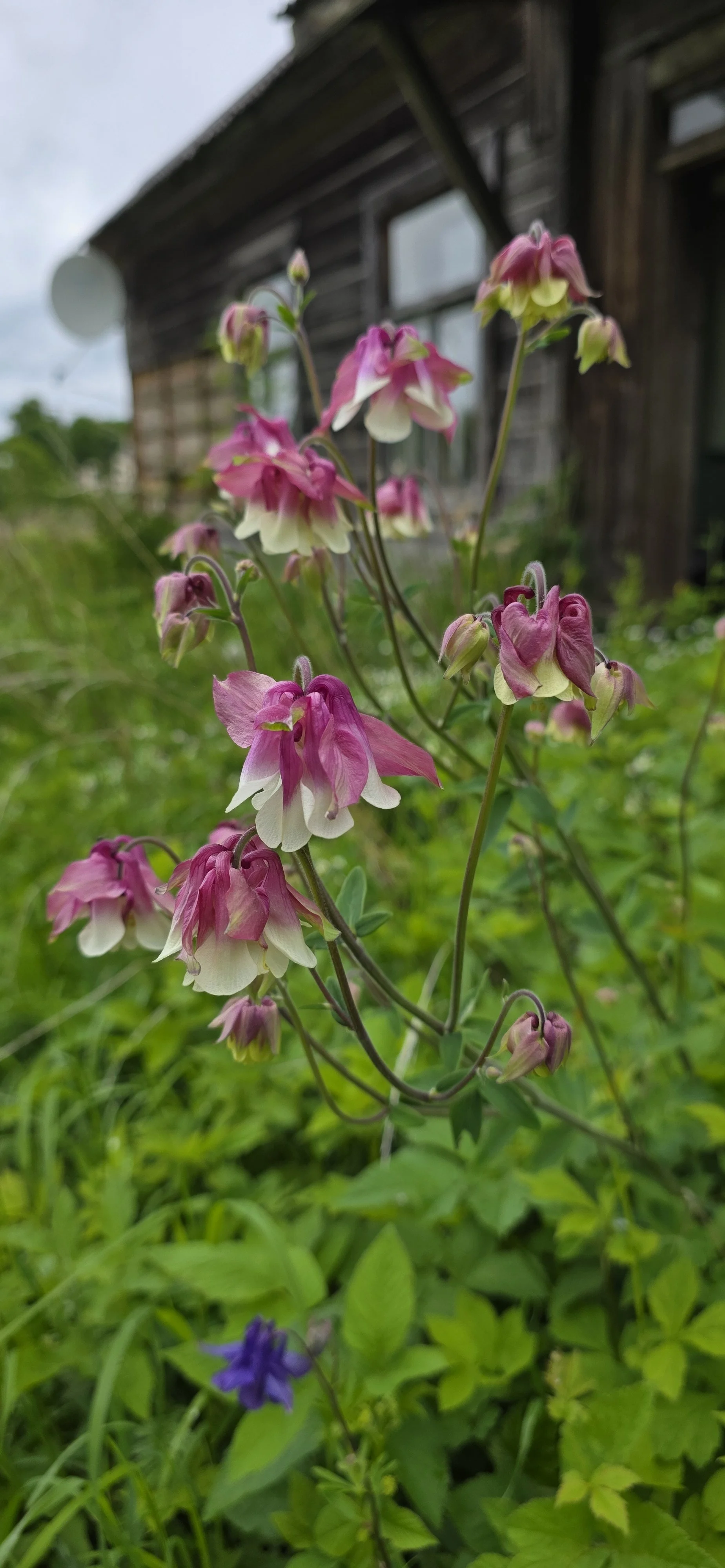 20260530_124458.jpg