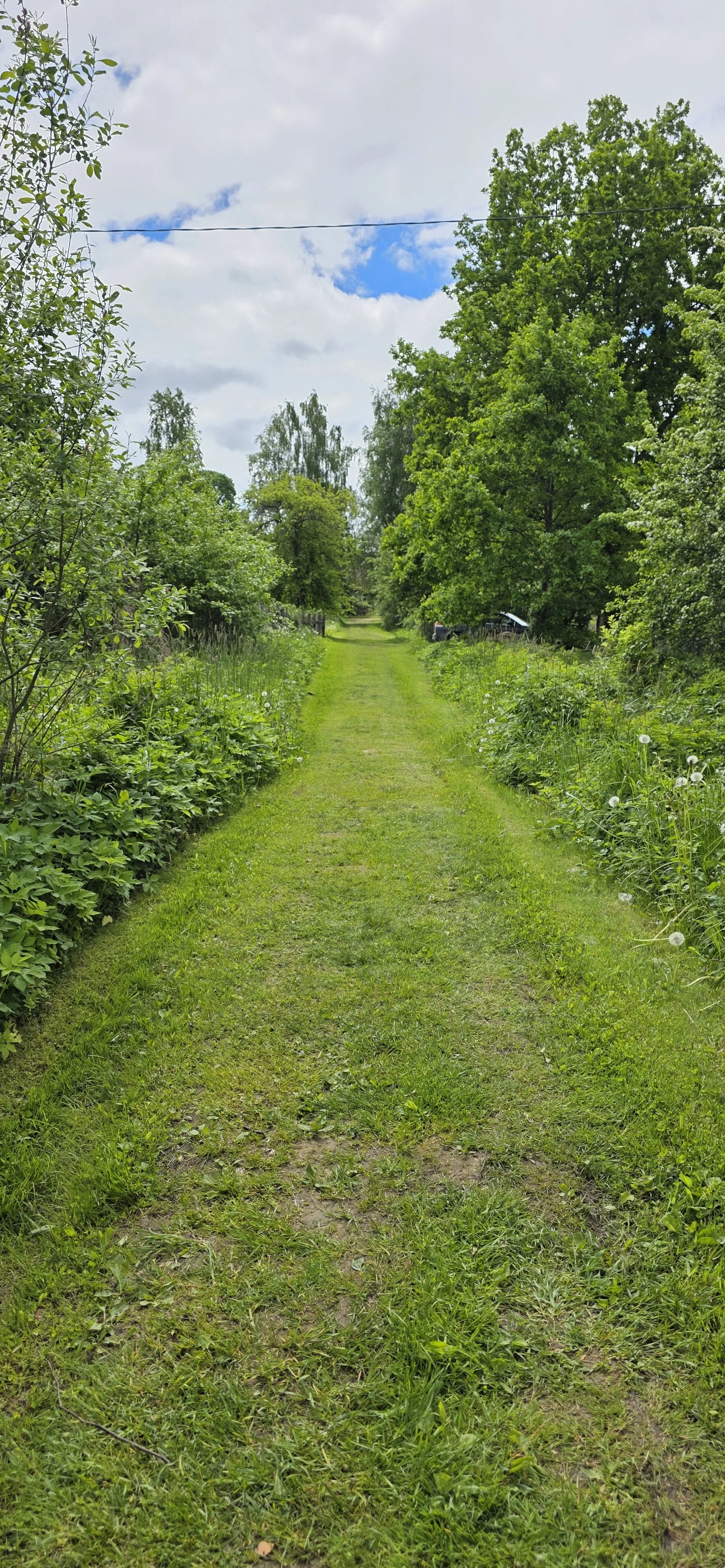 20260531_130701.jpg