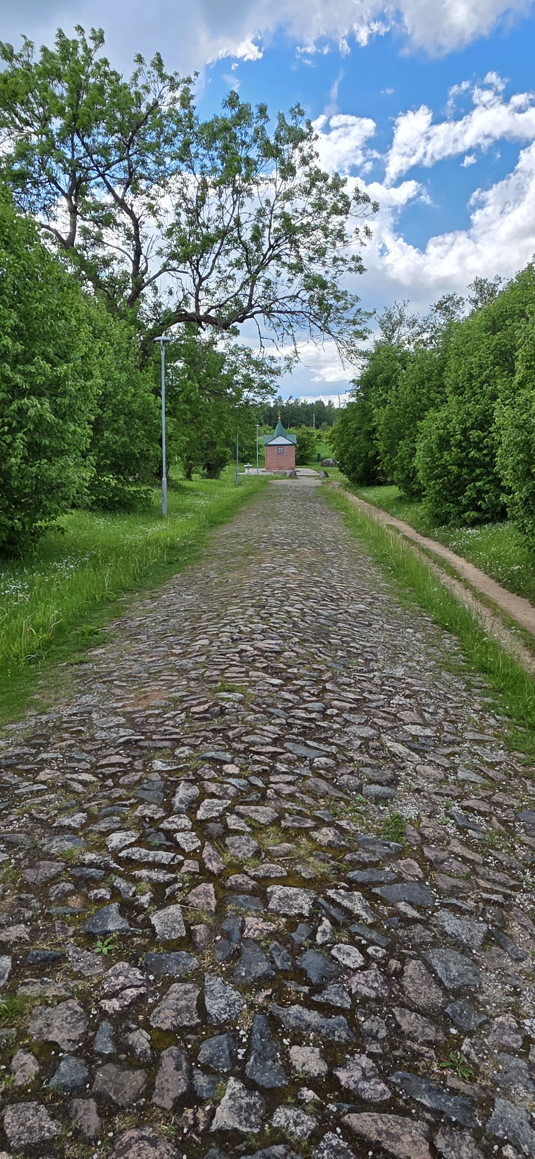 20260610_164951.jpg