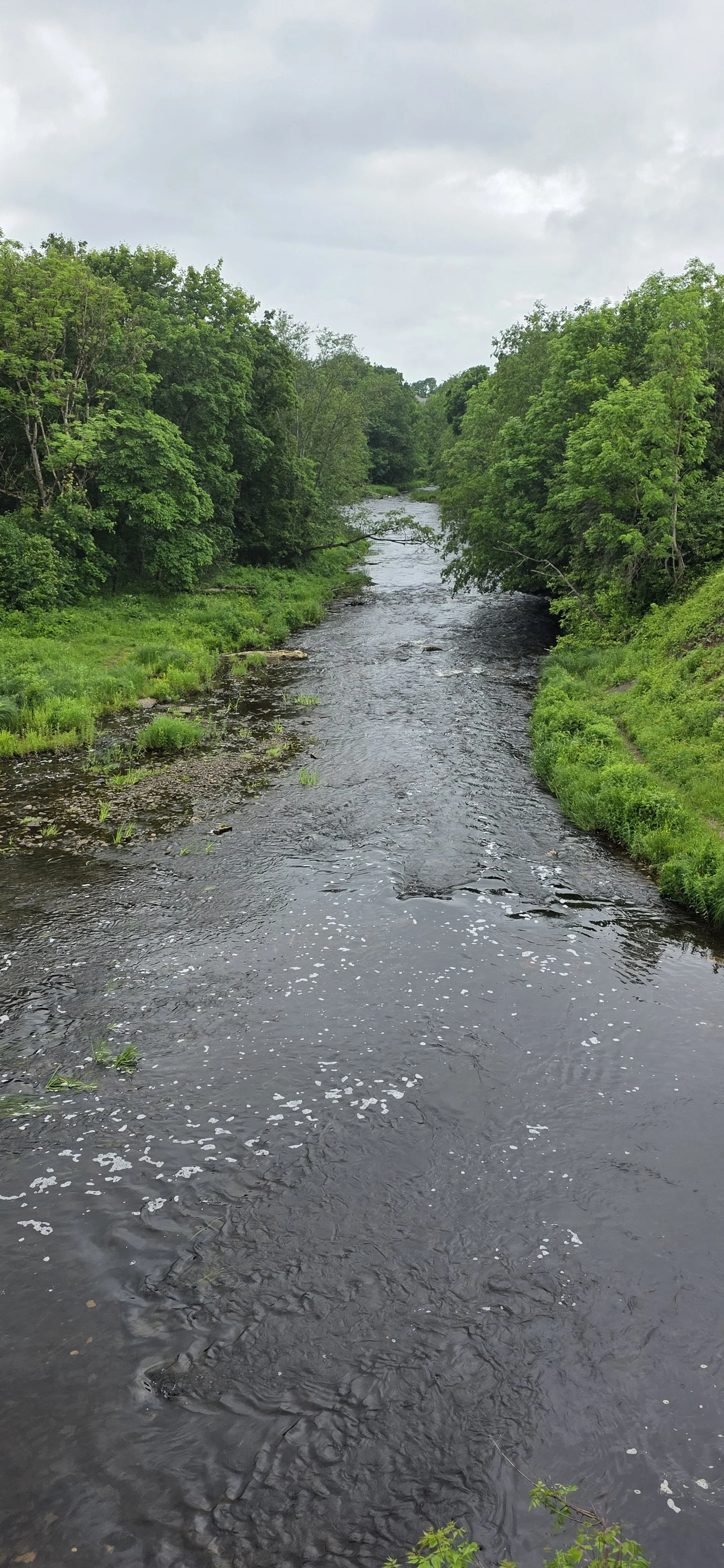 20260615_122553.jpg