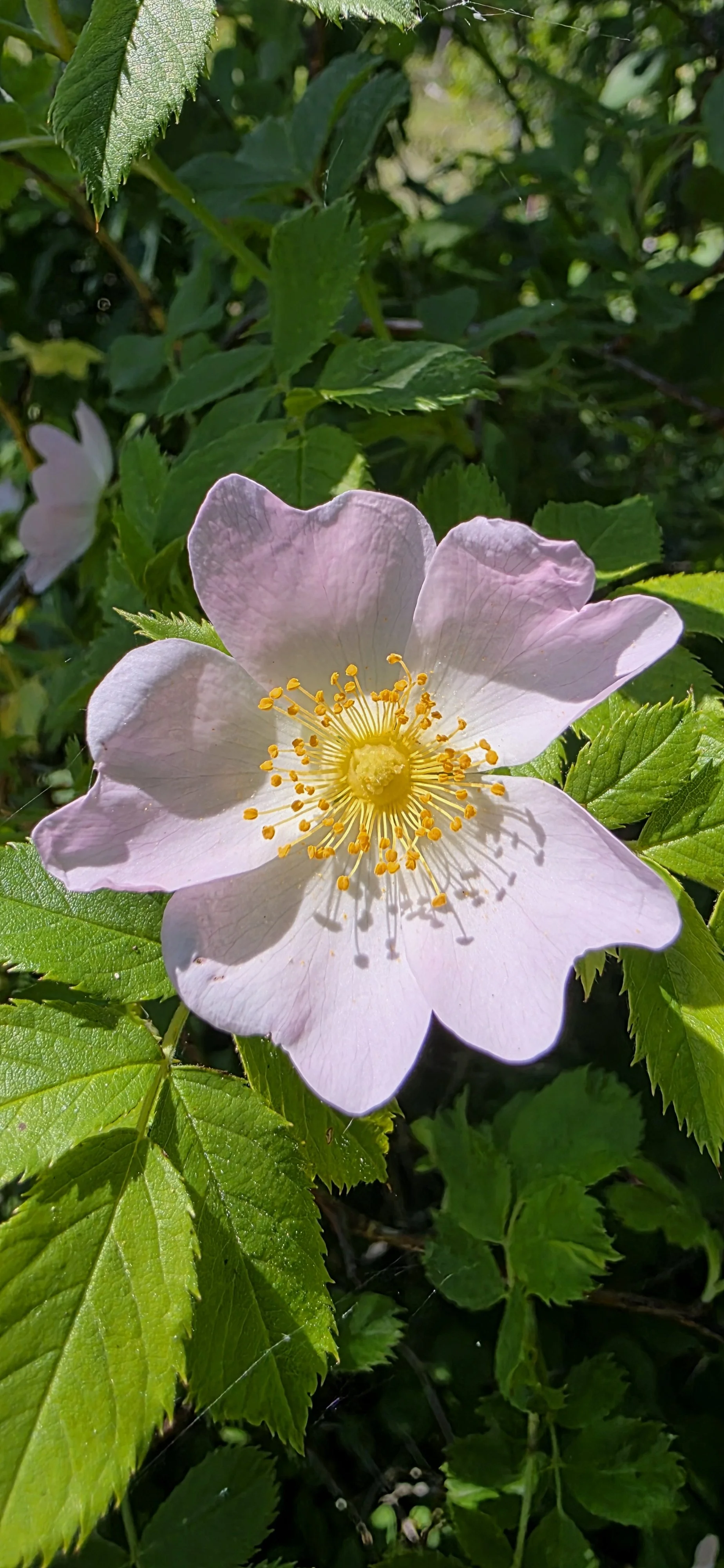20260622_130438.jpg