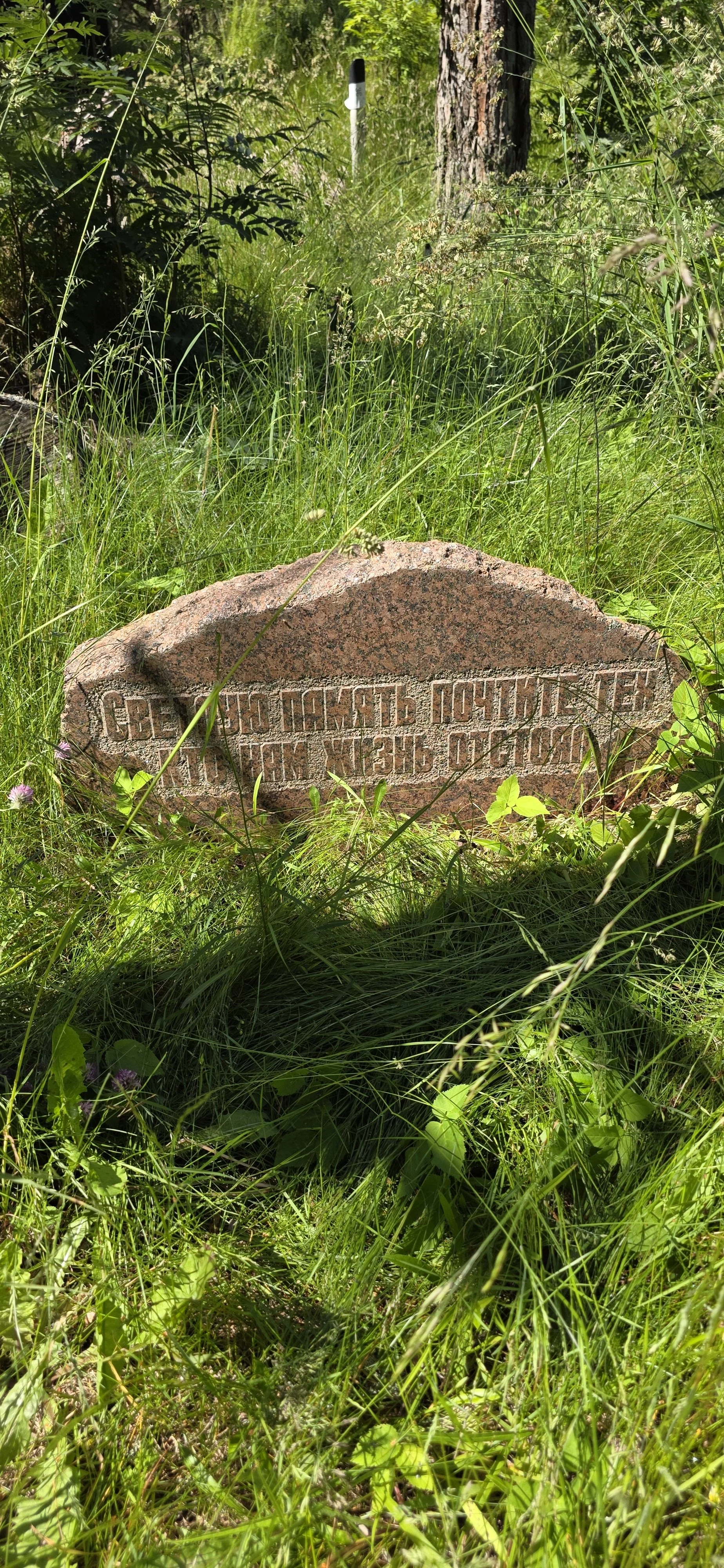 20260624_133333.jpg