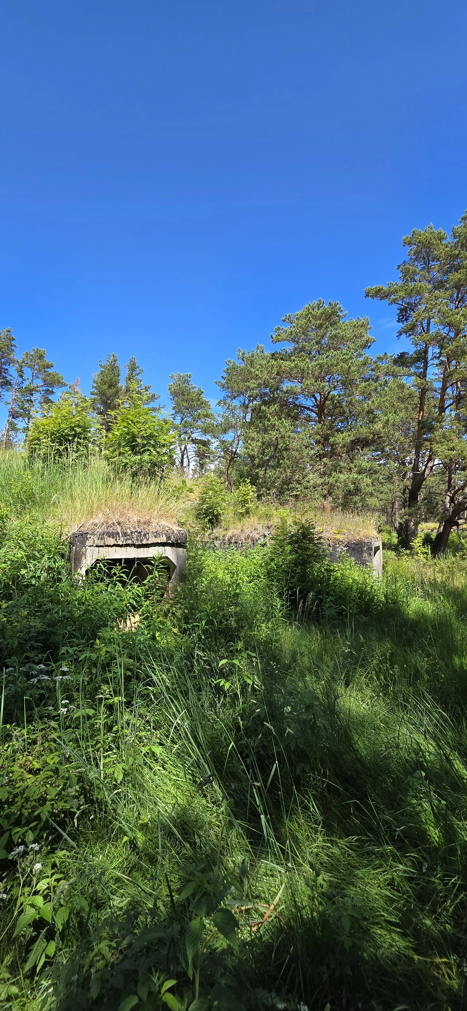 20260624_134016.jpg