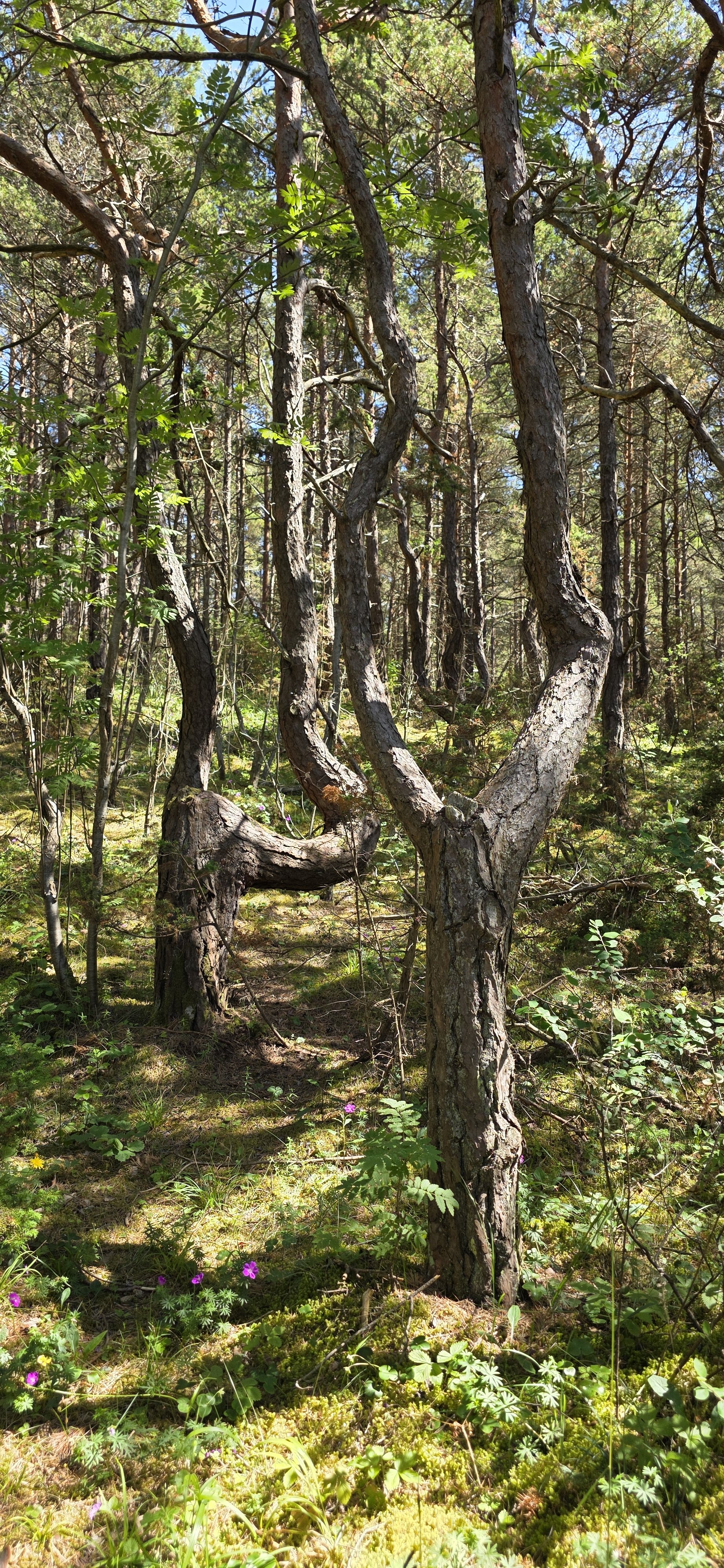 20260626_144237.jpg