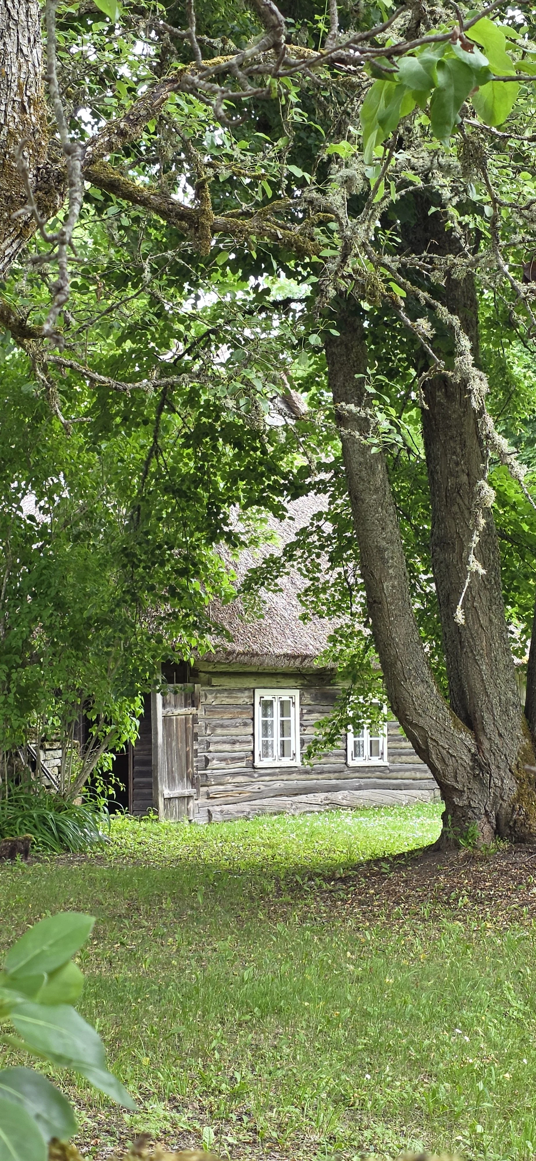 20260628_111524.jpg
