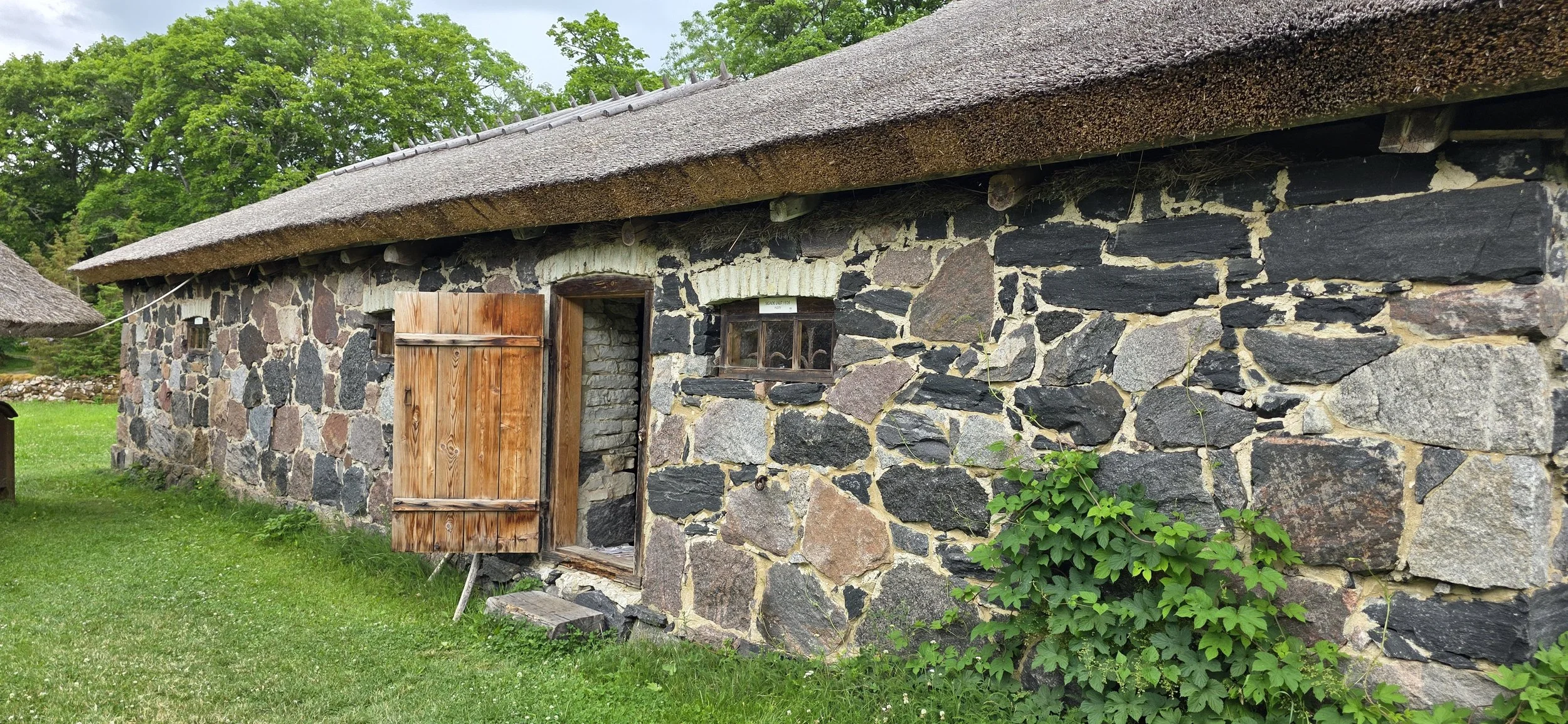 20260628_112543.jpg