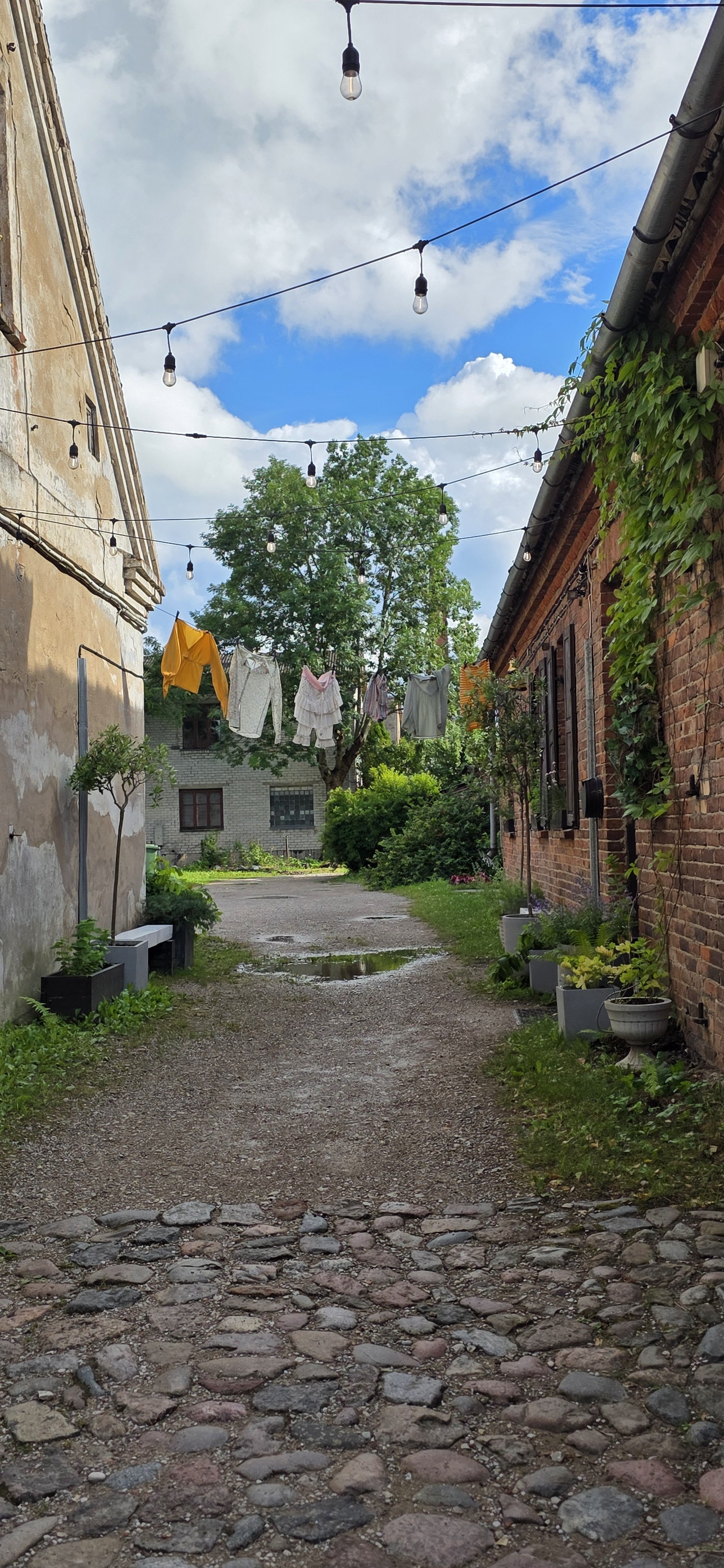 20260704_180904 - Kopie.jpg