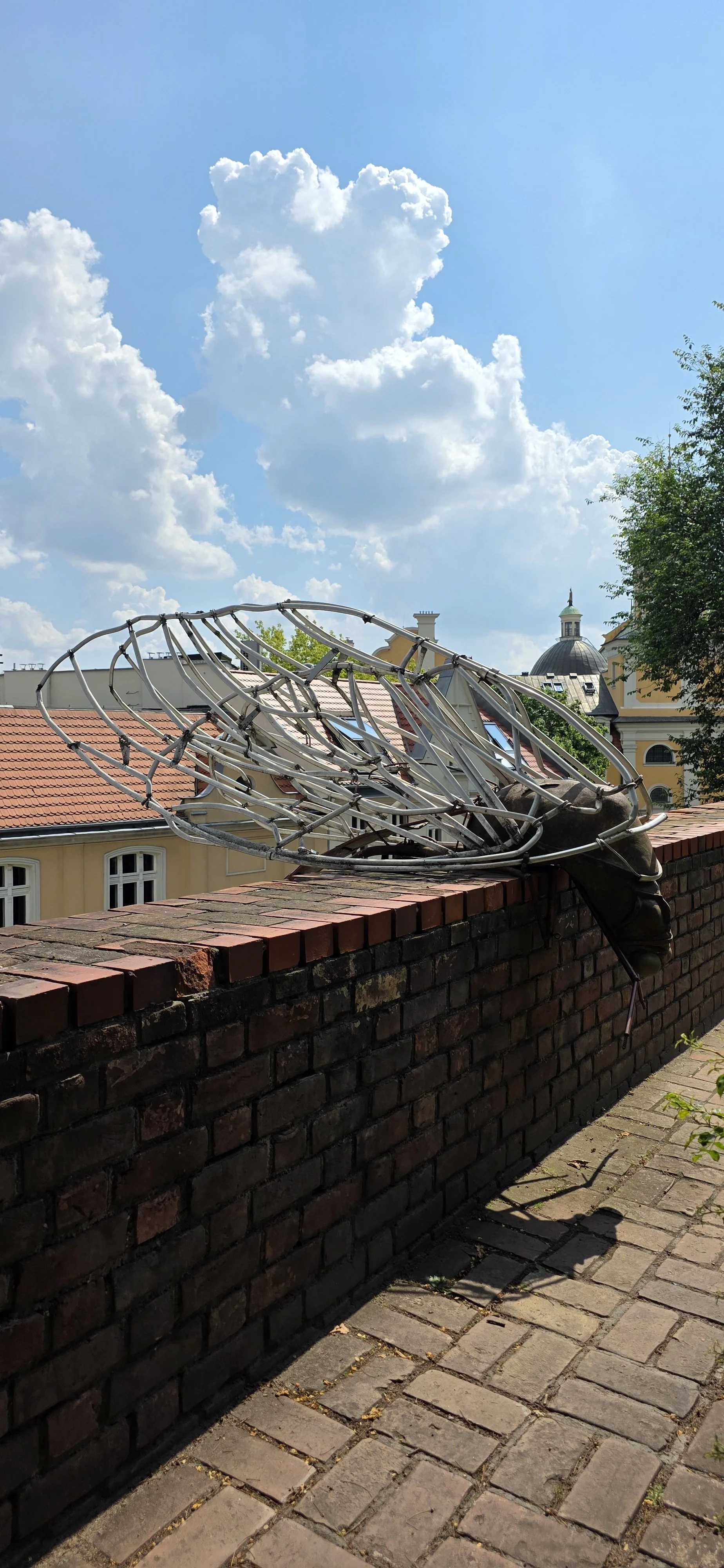 20260716_143817 - Kopie.jpg