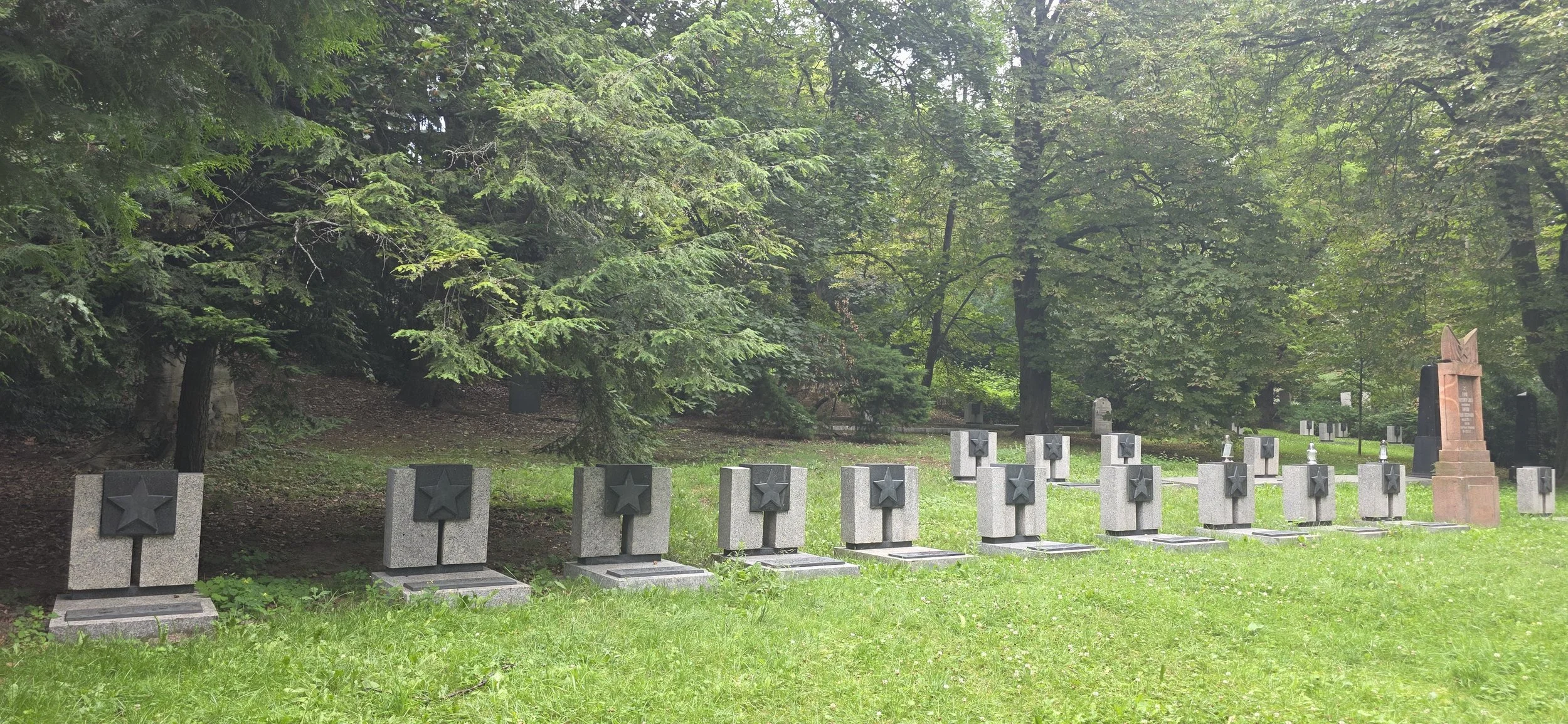 20260717_115337.jpg