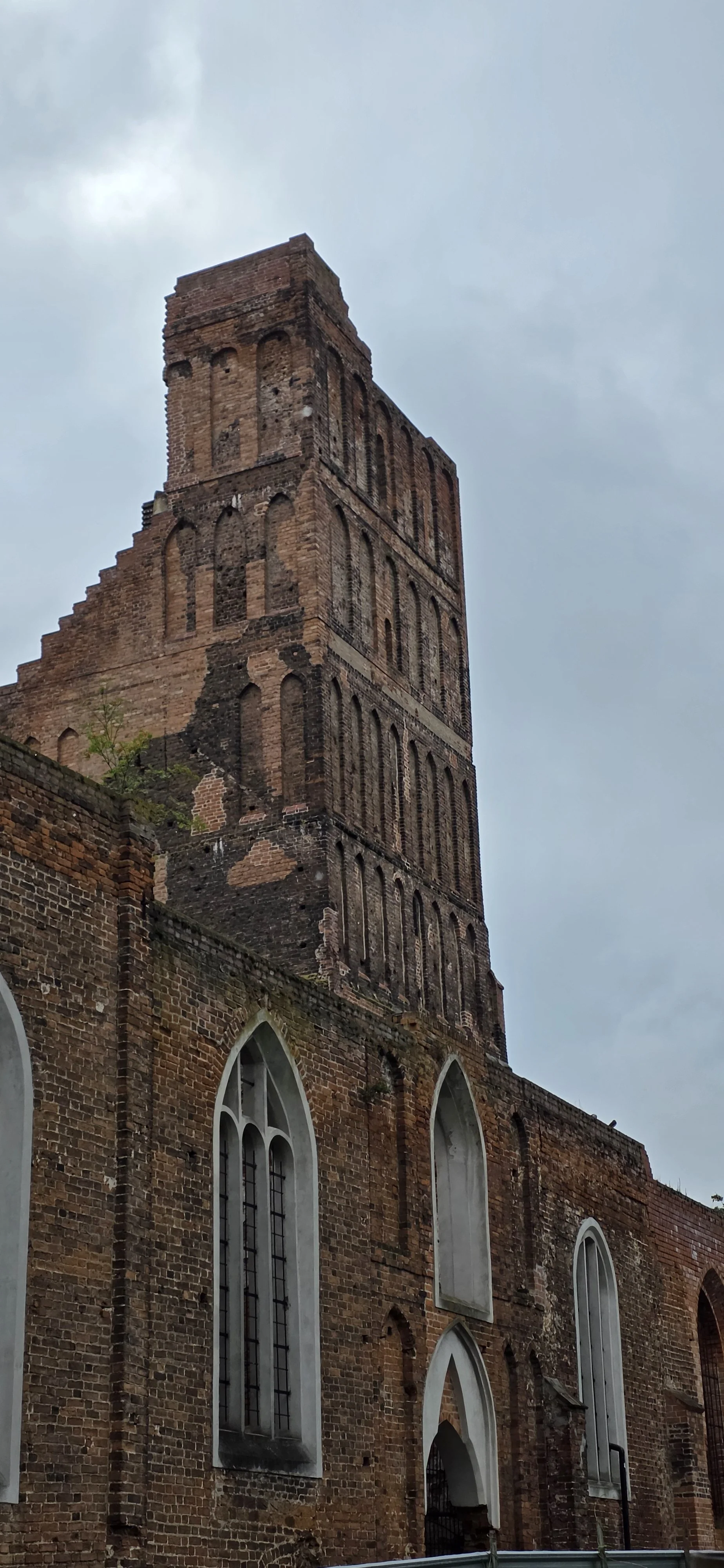 20260719_143139.jpg
