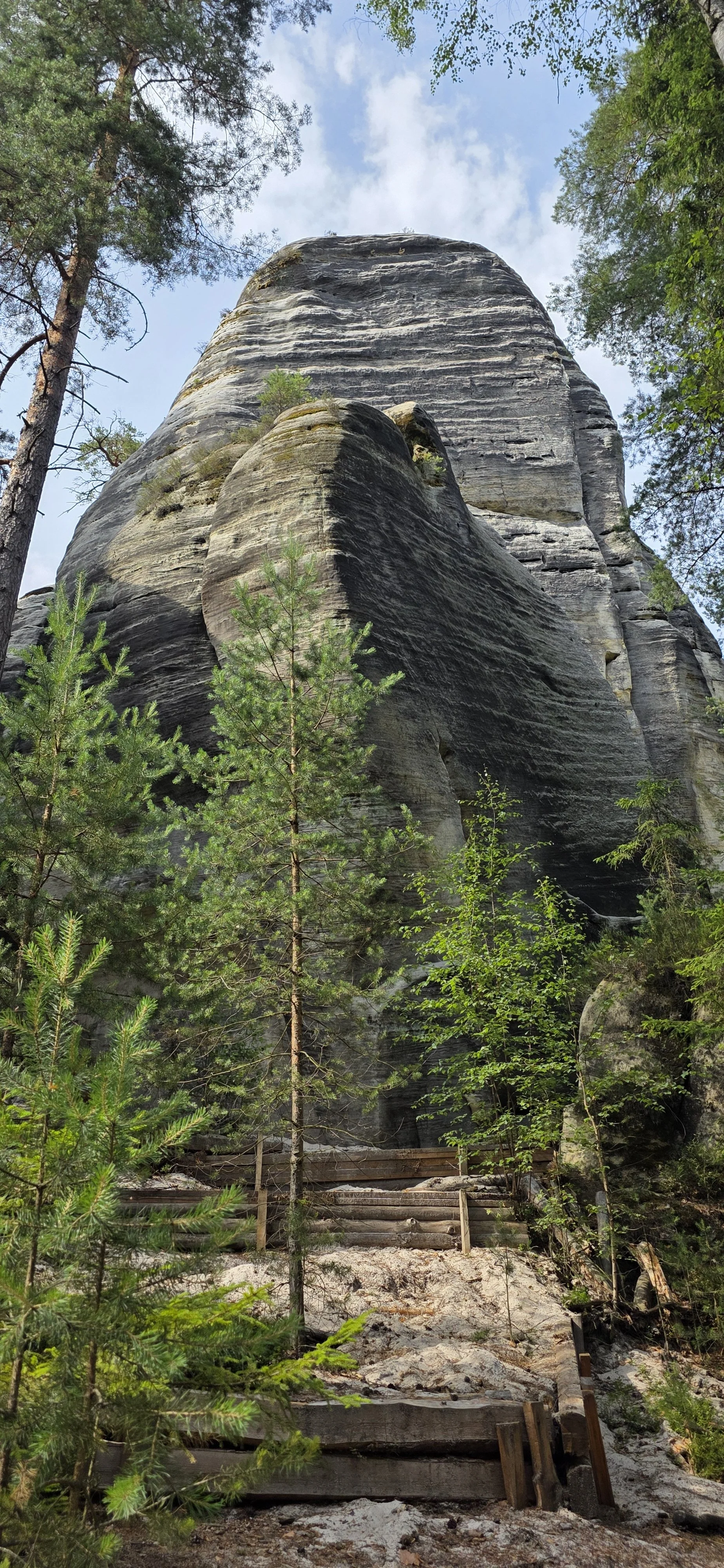 20260722_161456.jpg