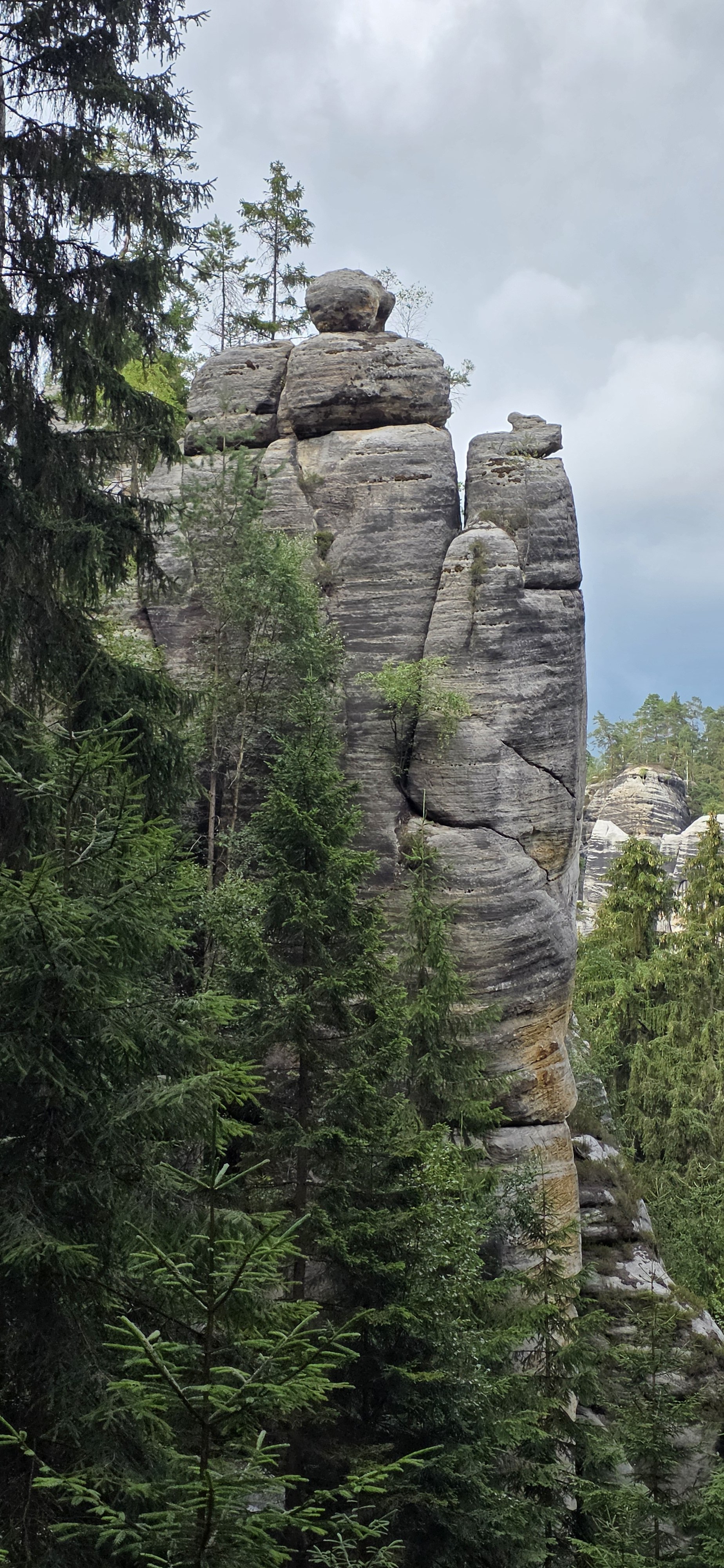 20260722_171733.jpg