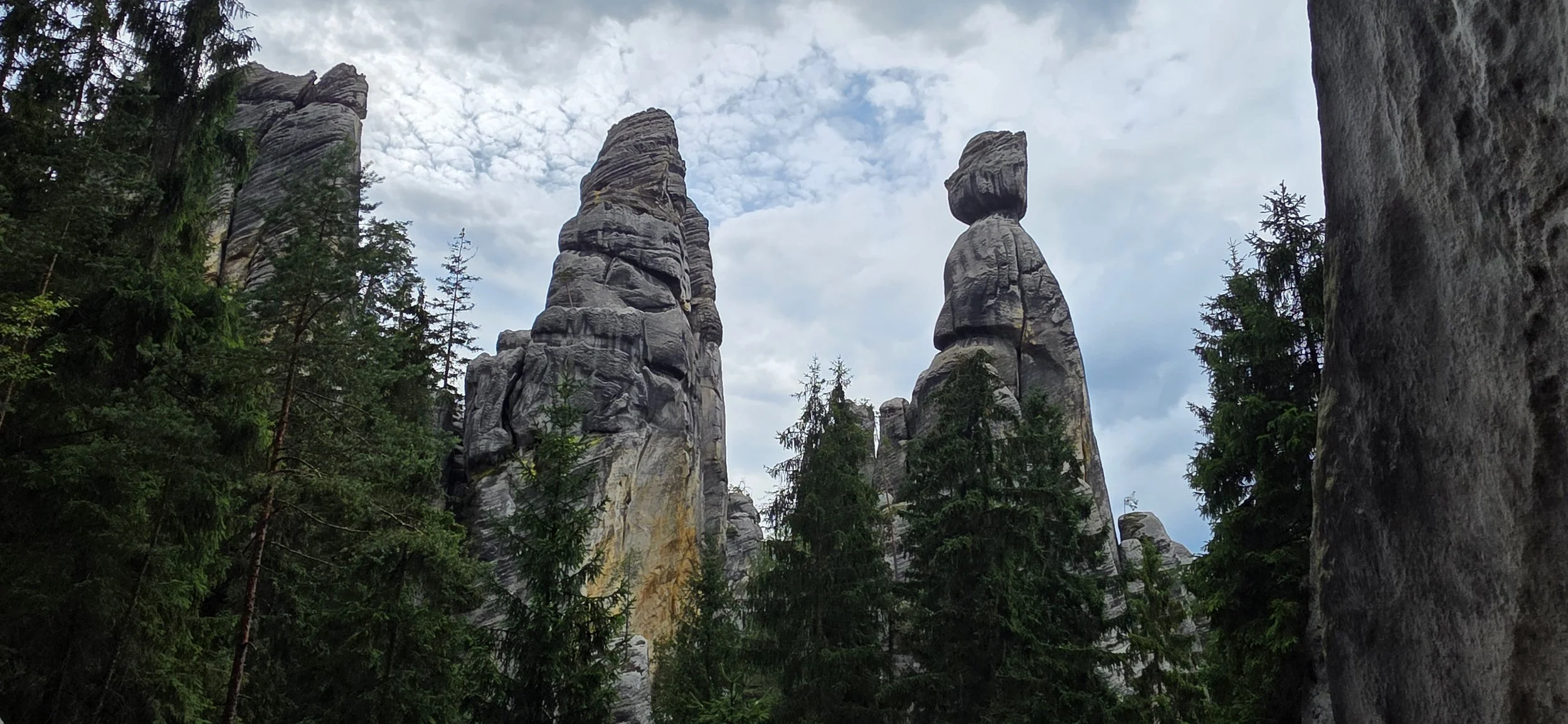 20260722_175254.jpg