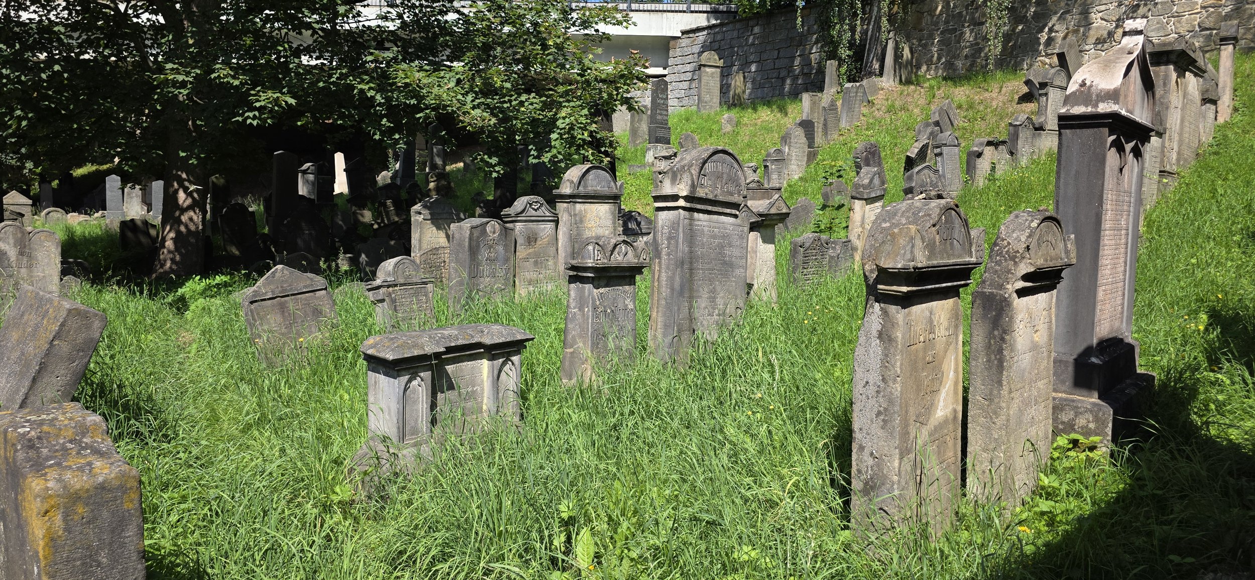 20260724_145601.jpg