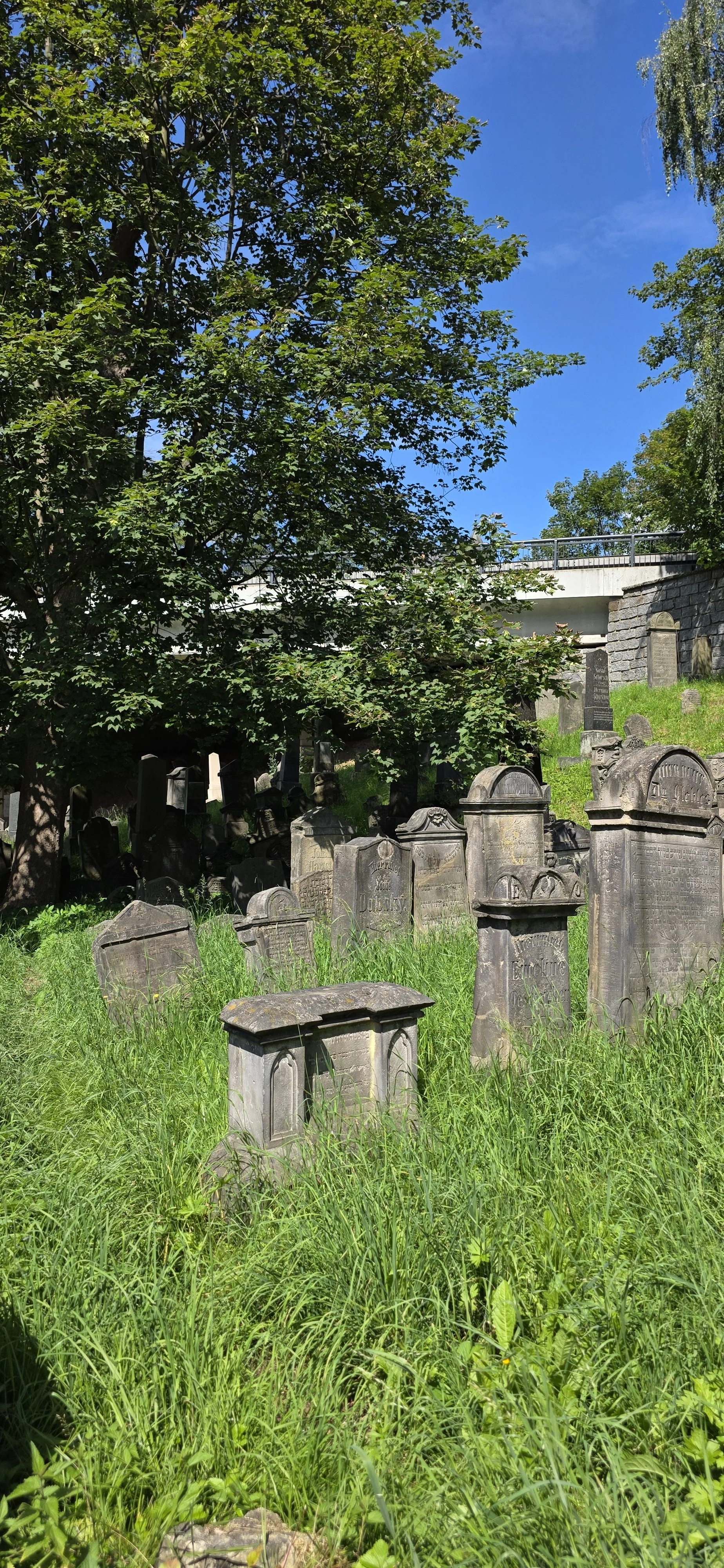 20260724_145607.jpg