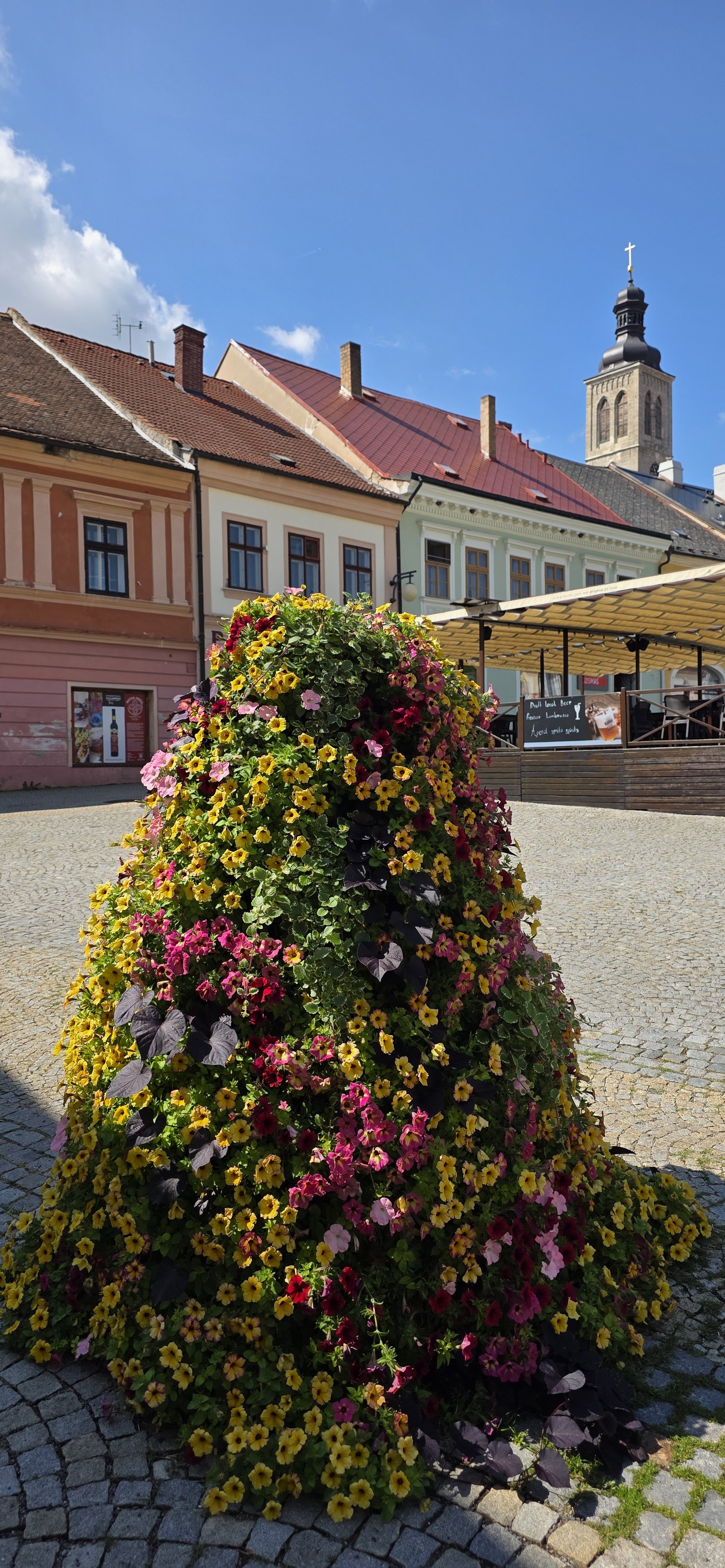 20260728_104802.jpg