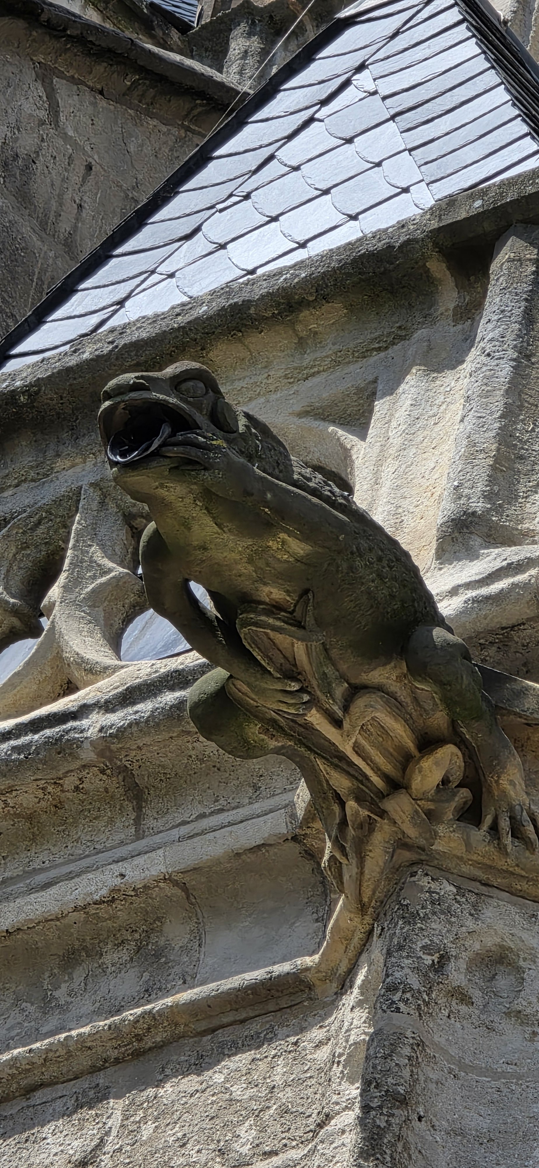 20260728_134445.jpg
