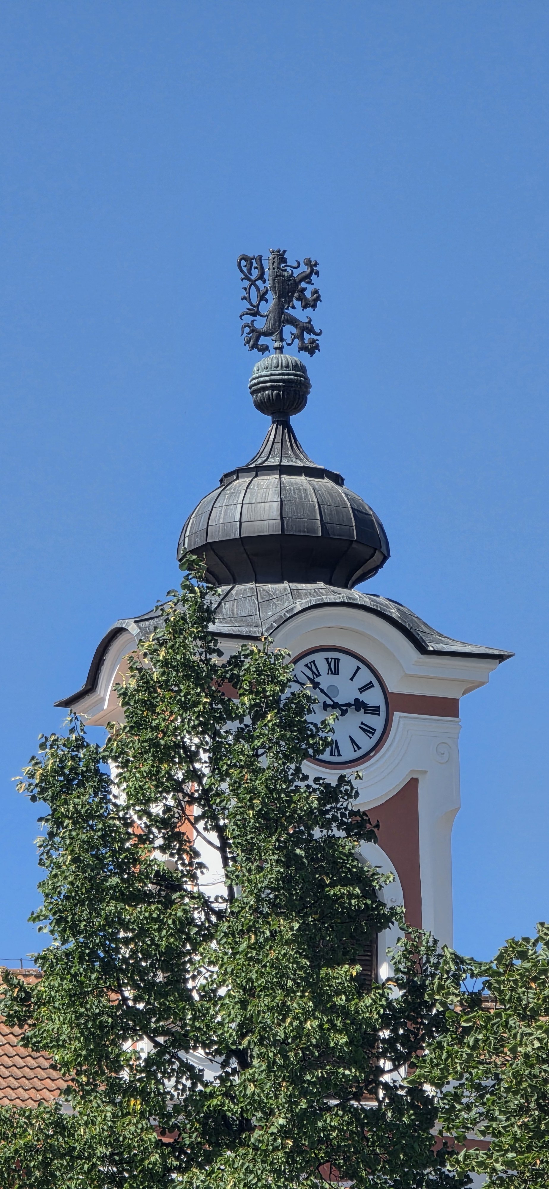 20260729_145155.jpg