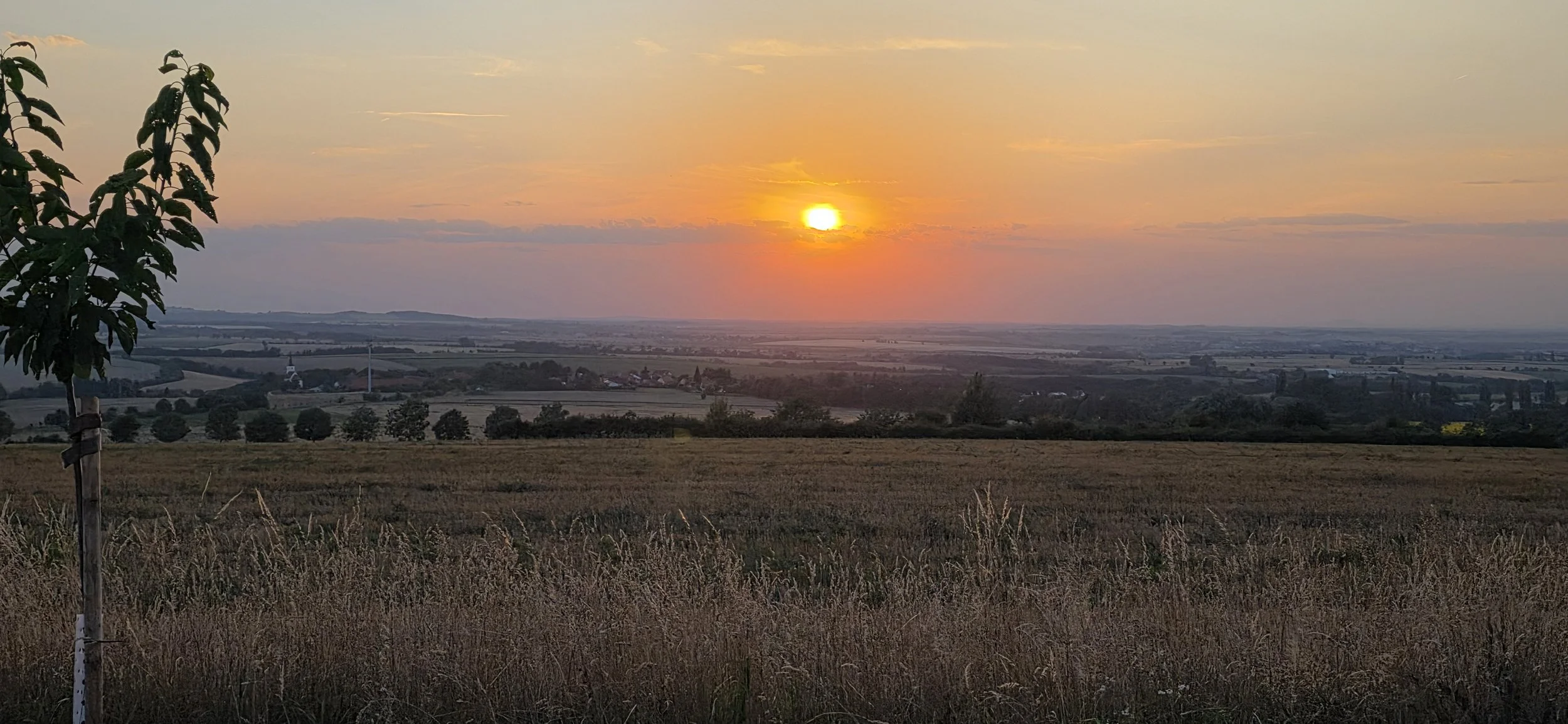20260730_202200.jpg