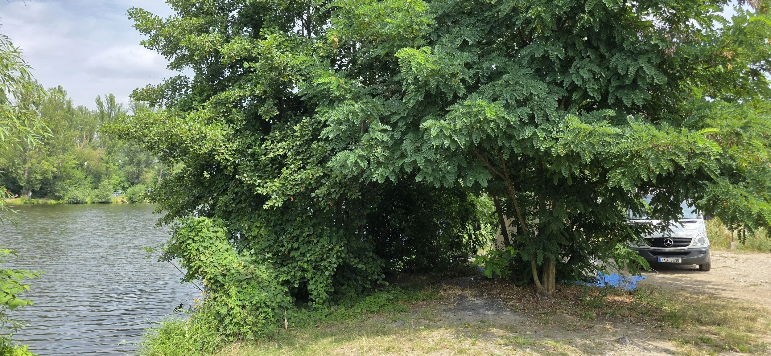 20260802_124218.jpg