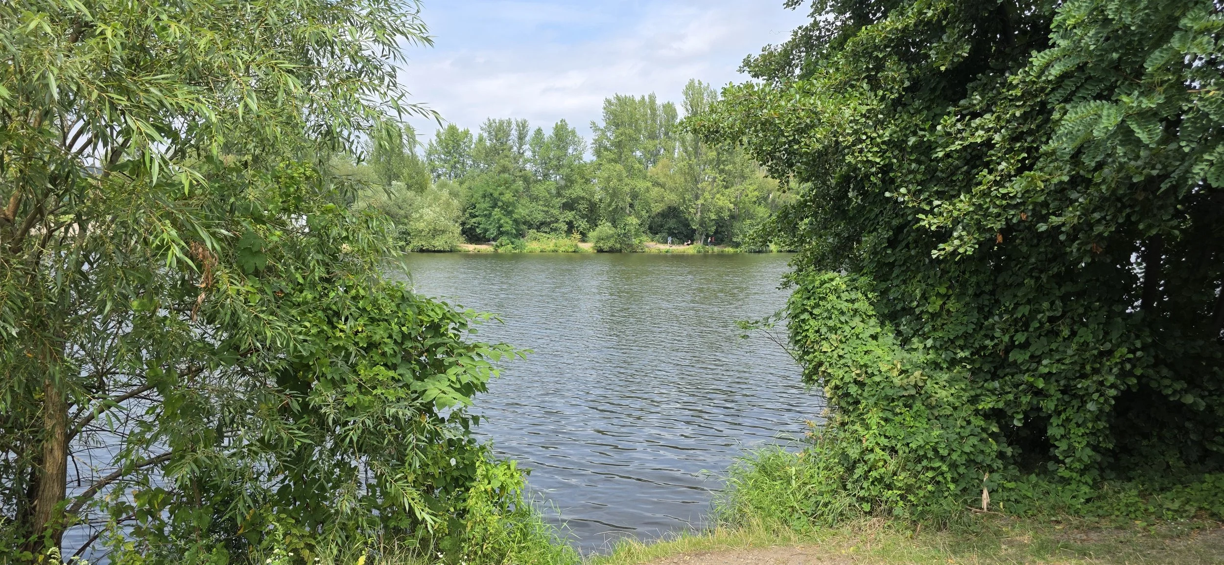 20260802_124225.jpg