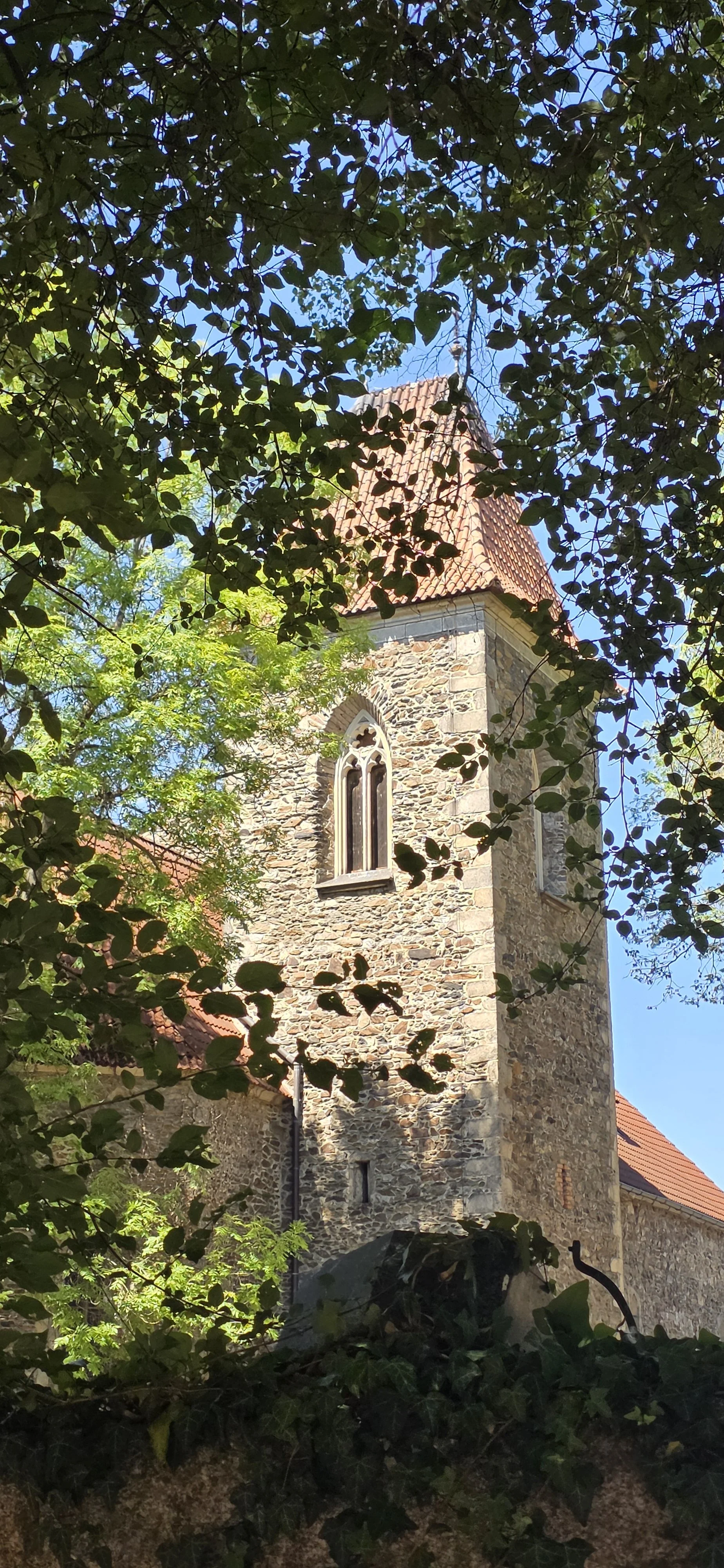 20260809_114427.jpg