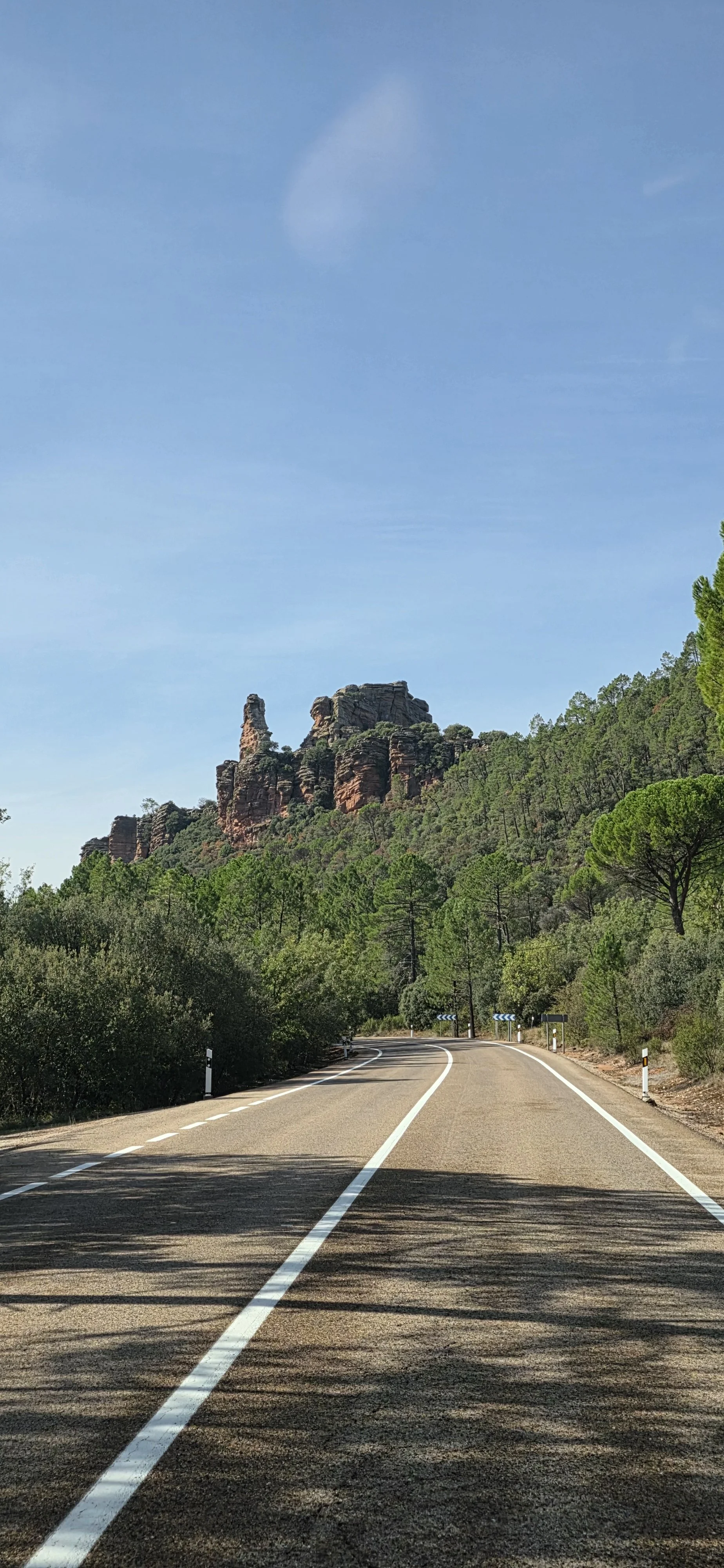 20261005_114720.jpg