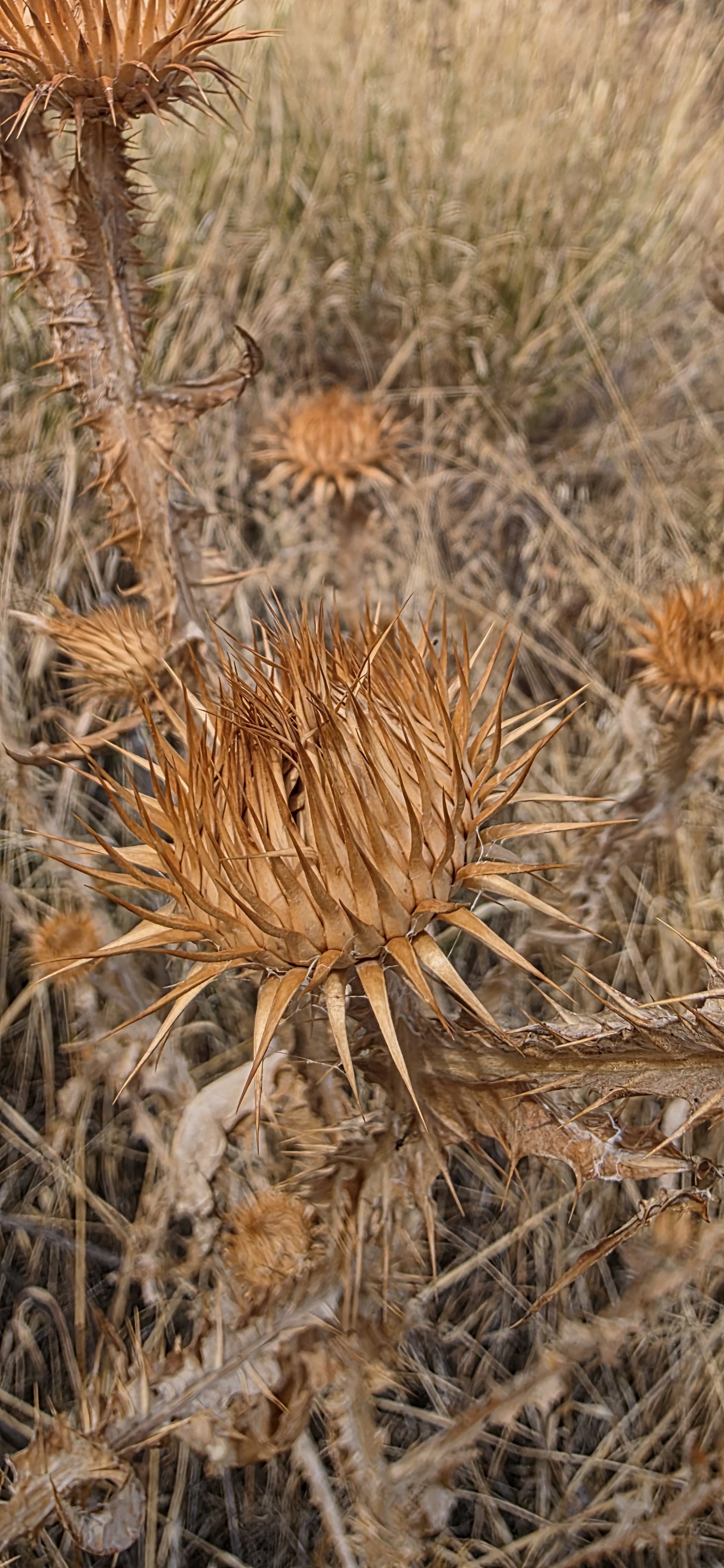 20261005_152245.jpg