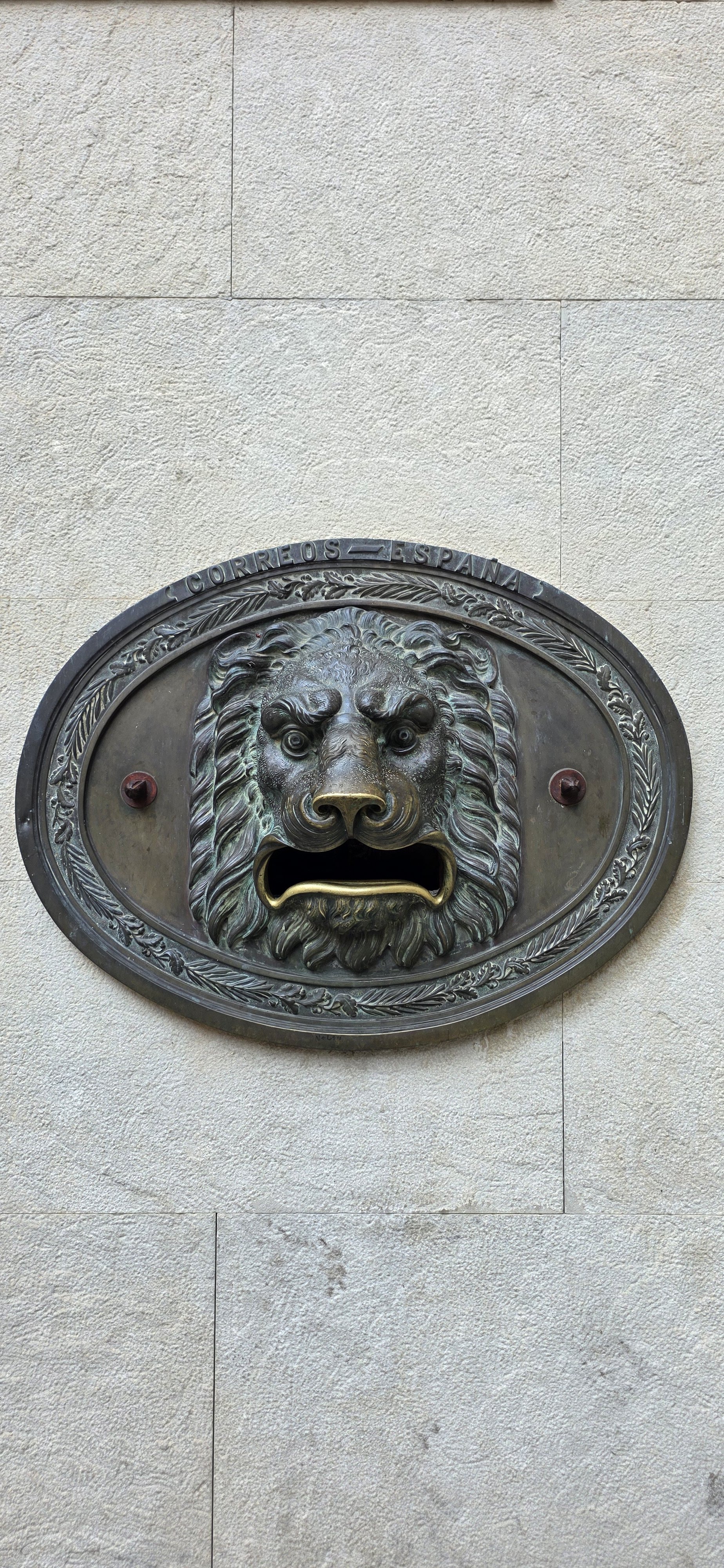 20261005_165913.jpg