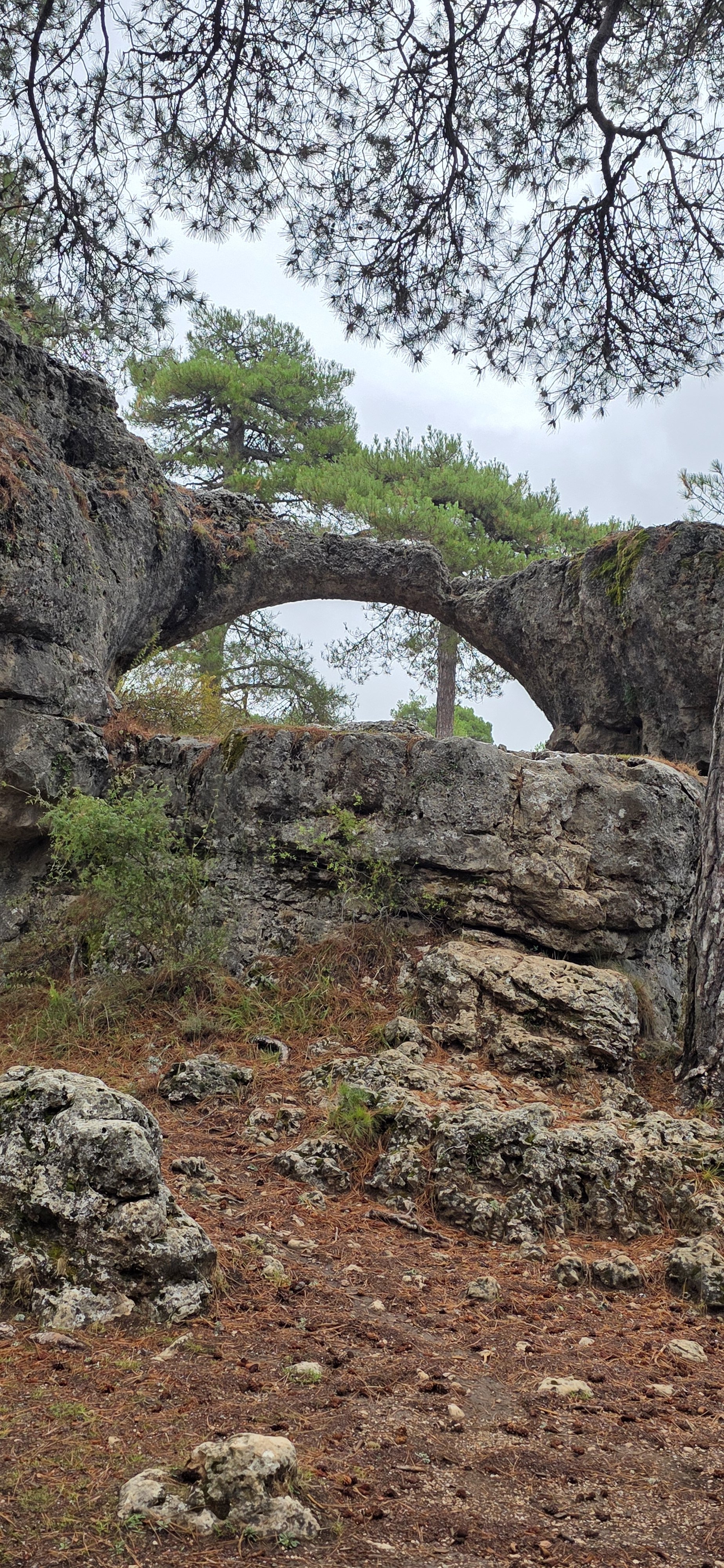 20261006_112235.jpg