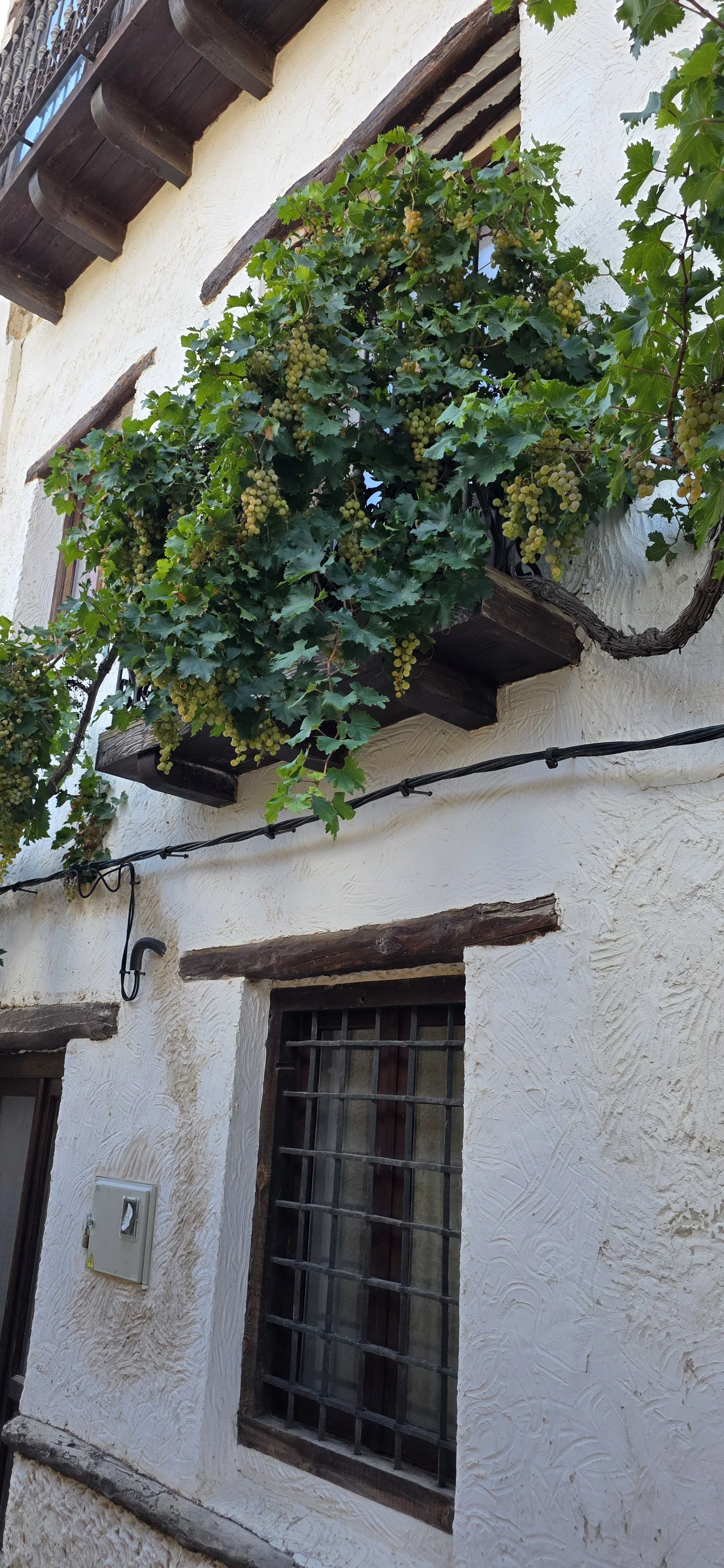 20261007_152224.jpg