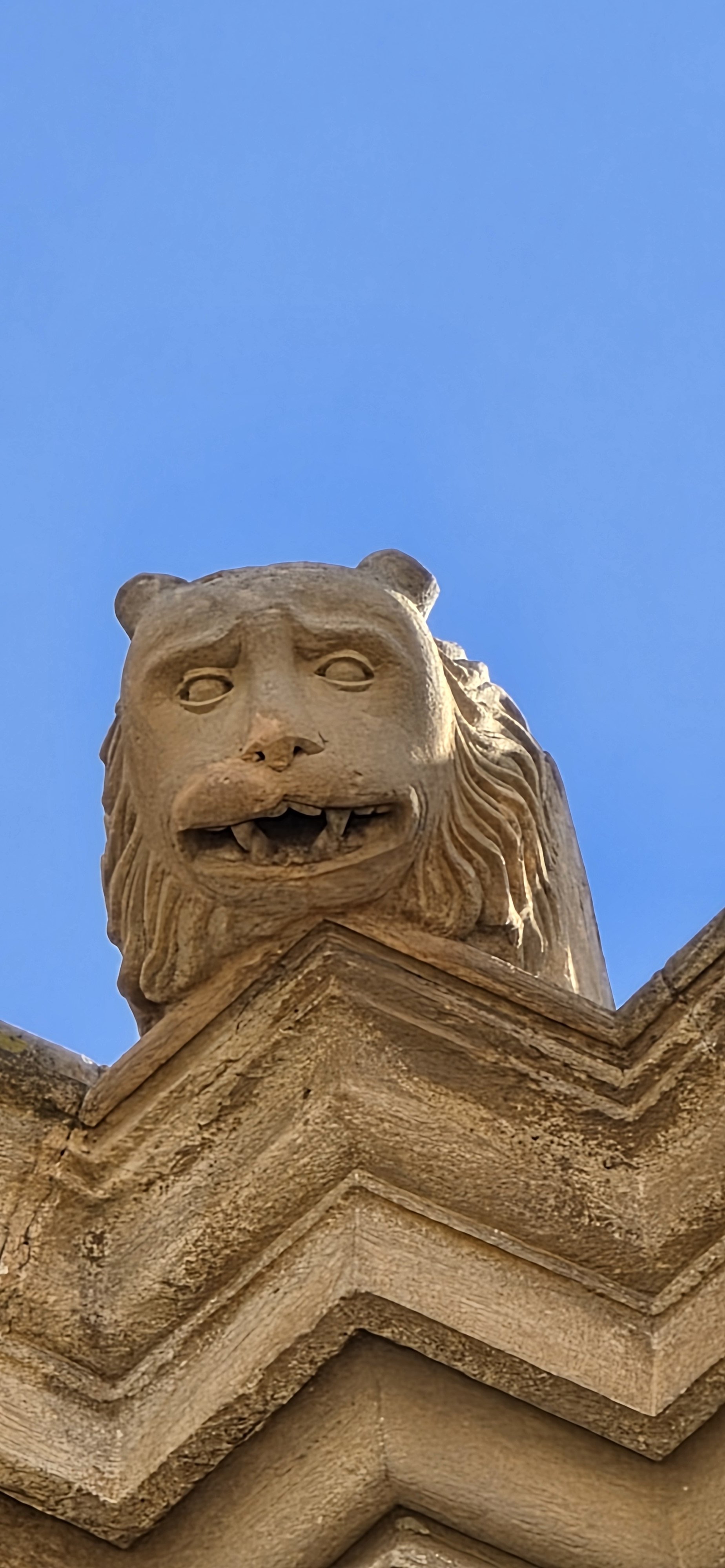 20261012_141225.jpg