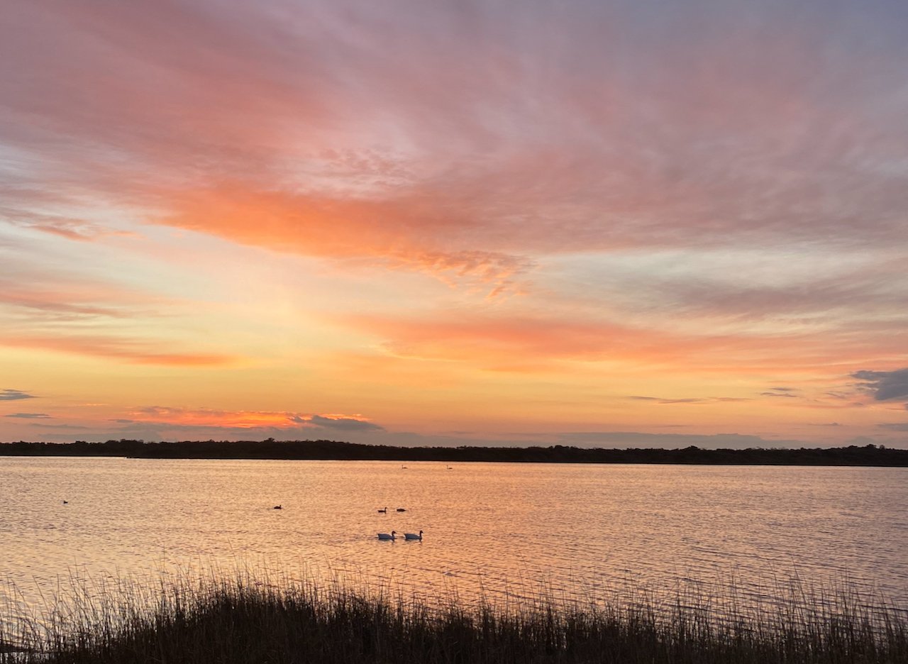 Voices Rising: Save Our Sounds