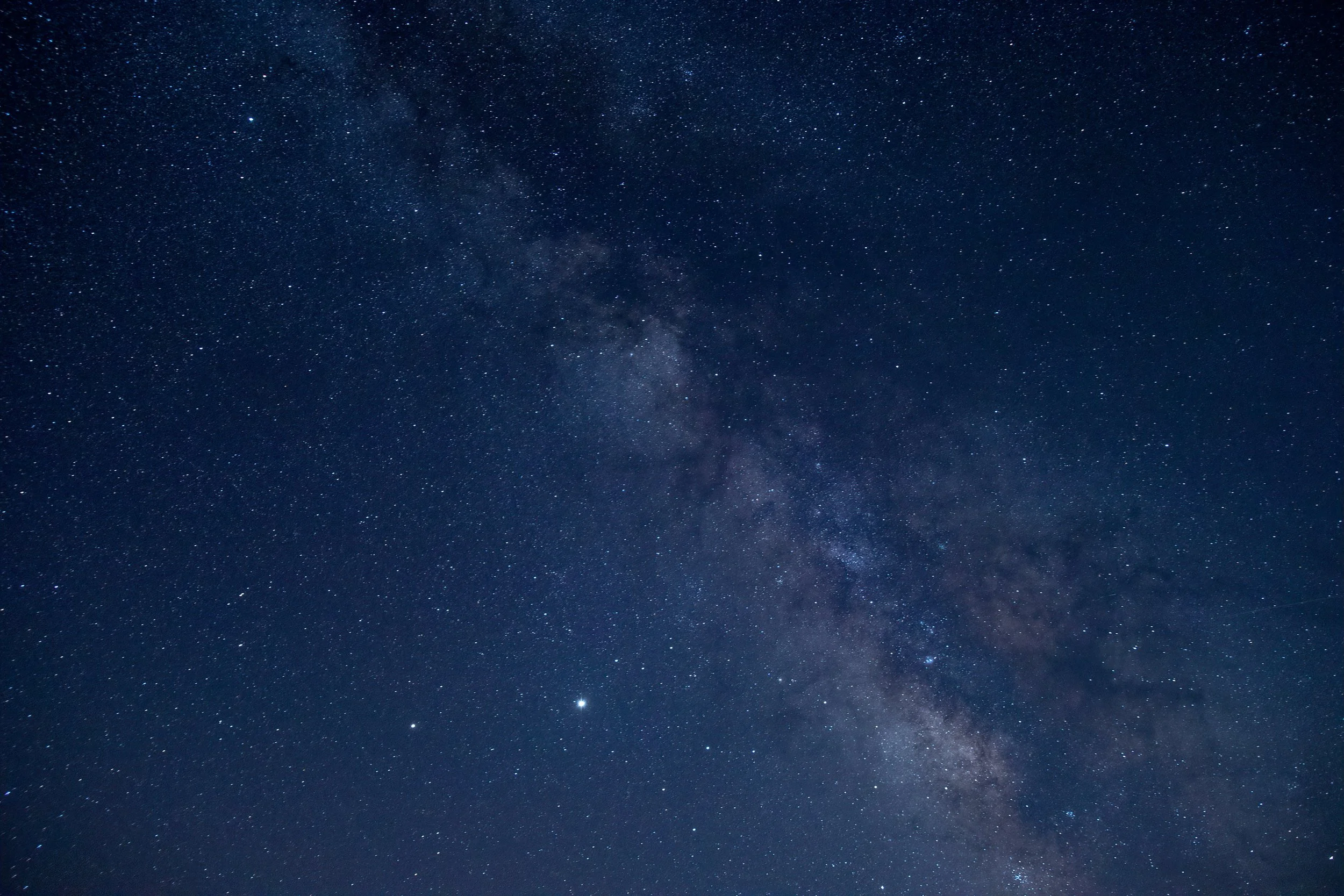 The Dark Side of Light: How Artificial Glow is Changing Wildlife