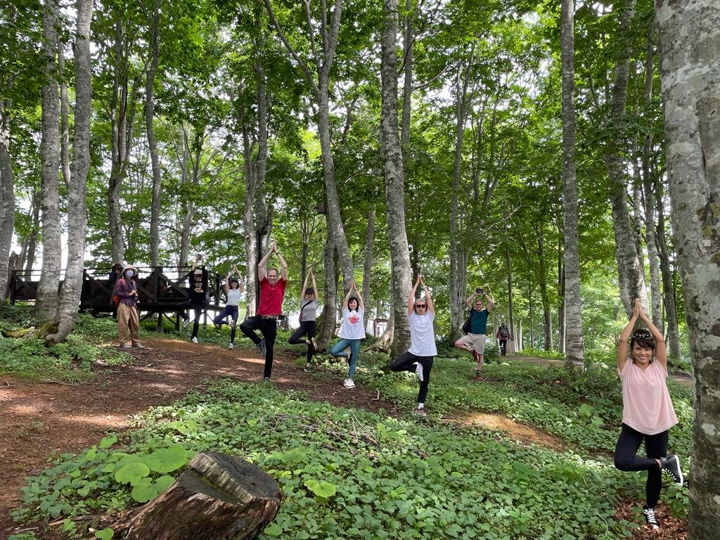 Nami Yoga Studio Hakuba & Wellness Yoga Retreat