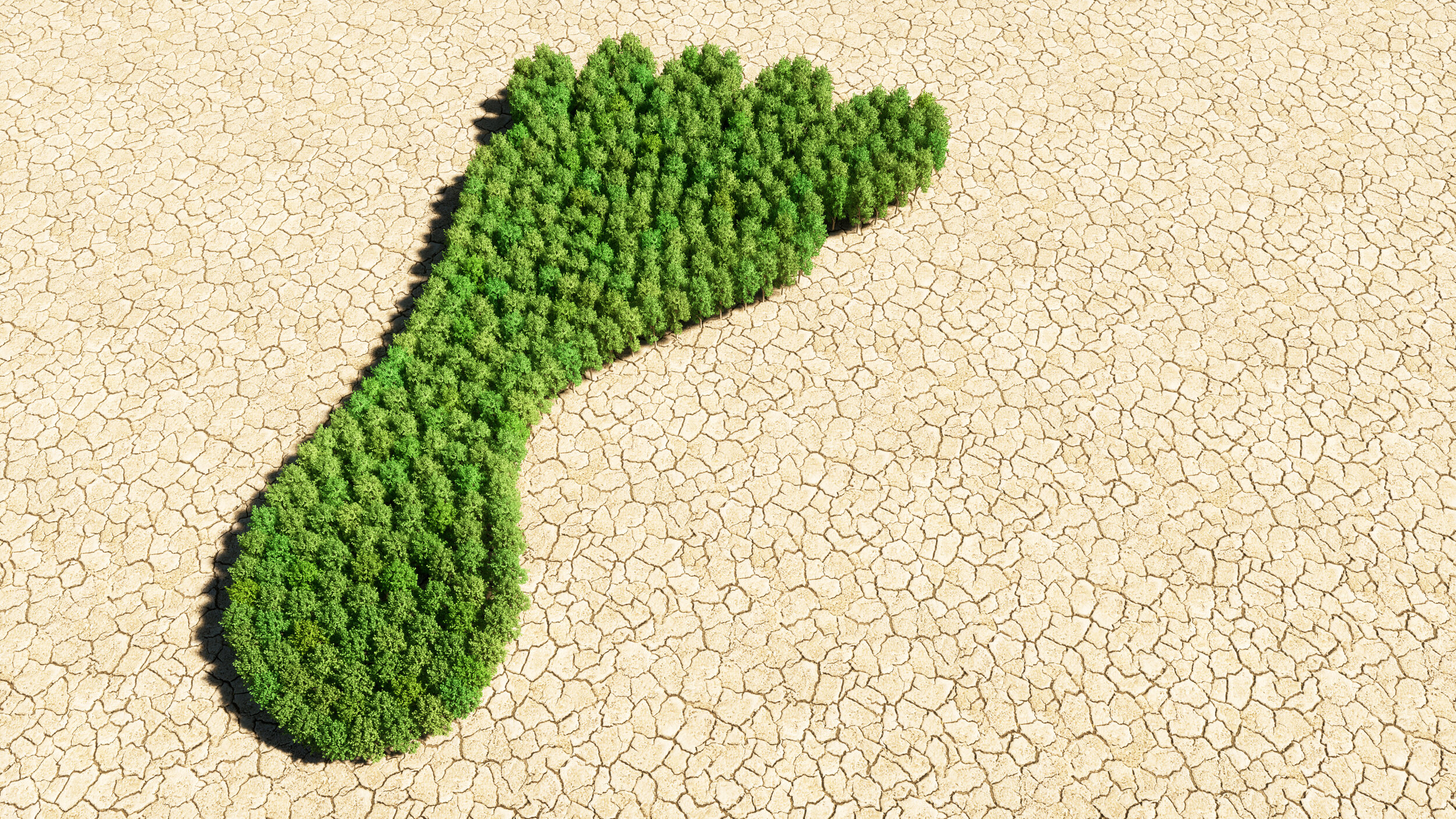 Outdoor-Sanctuaries-Sustainable-Carbon-Footprint