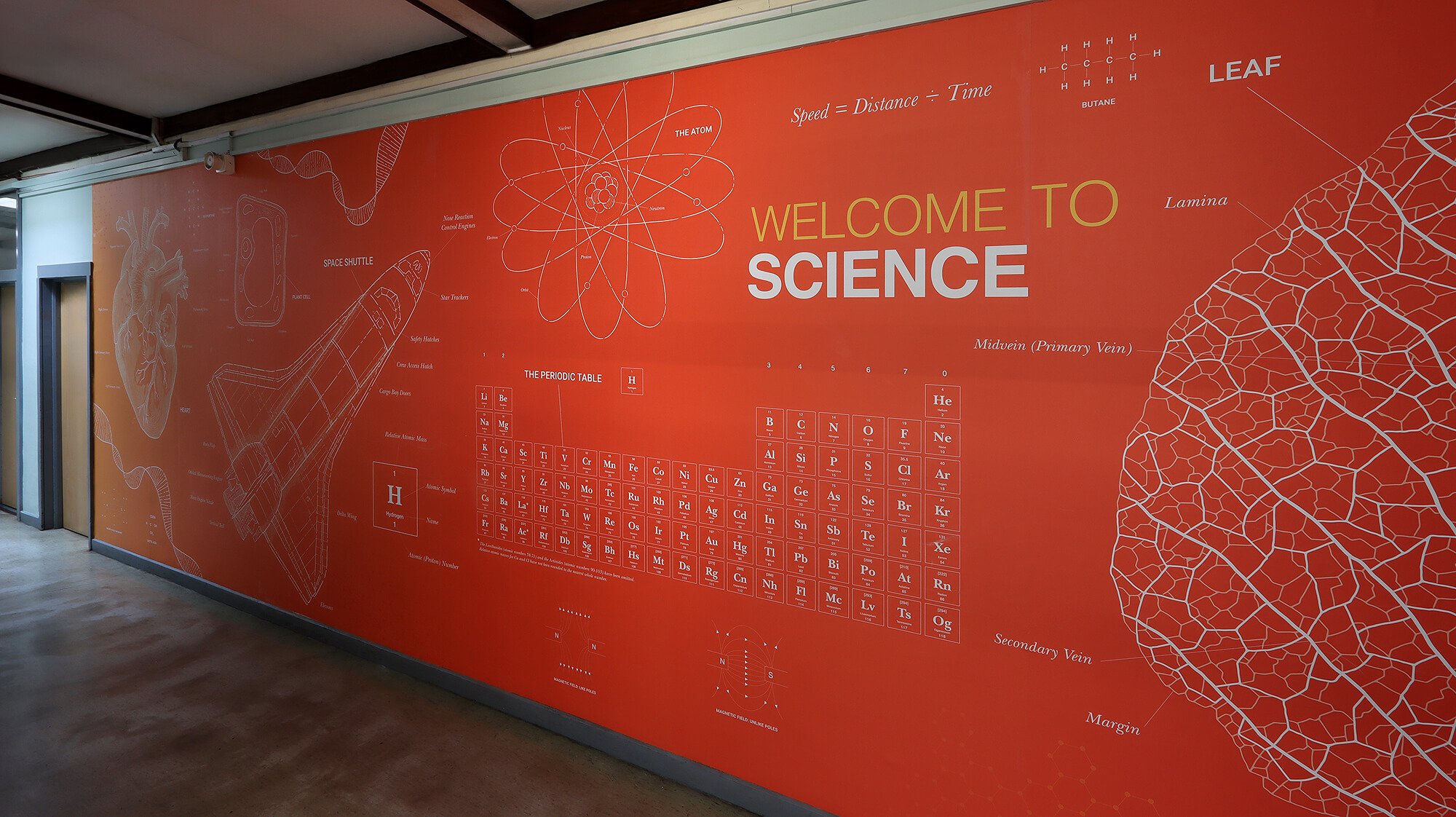 Nether Stowe School Science Wall Graphic 01.jpg