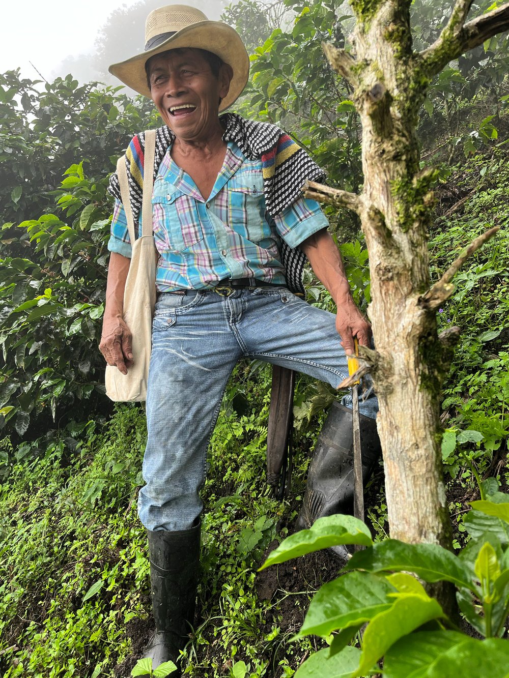 Don Luis Bueno standing on his steep farm with ease