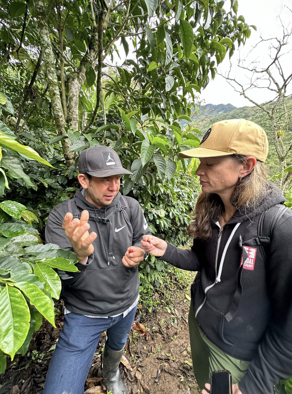 Screenshot 2025-02-14 at 3.17.37 PM.png