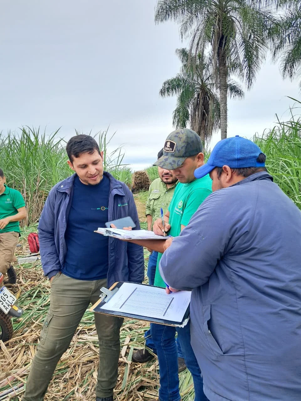 A field training organized by Manduvirá