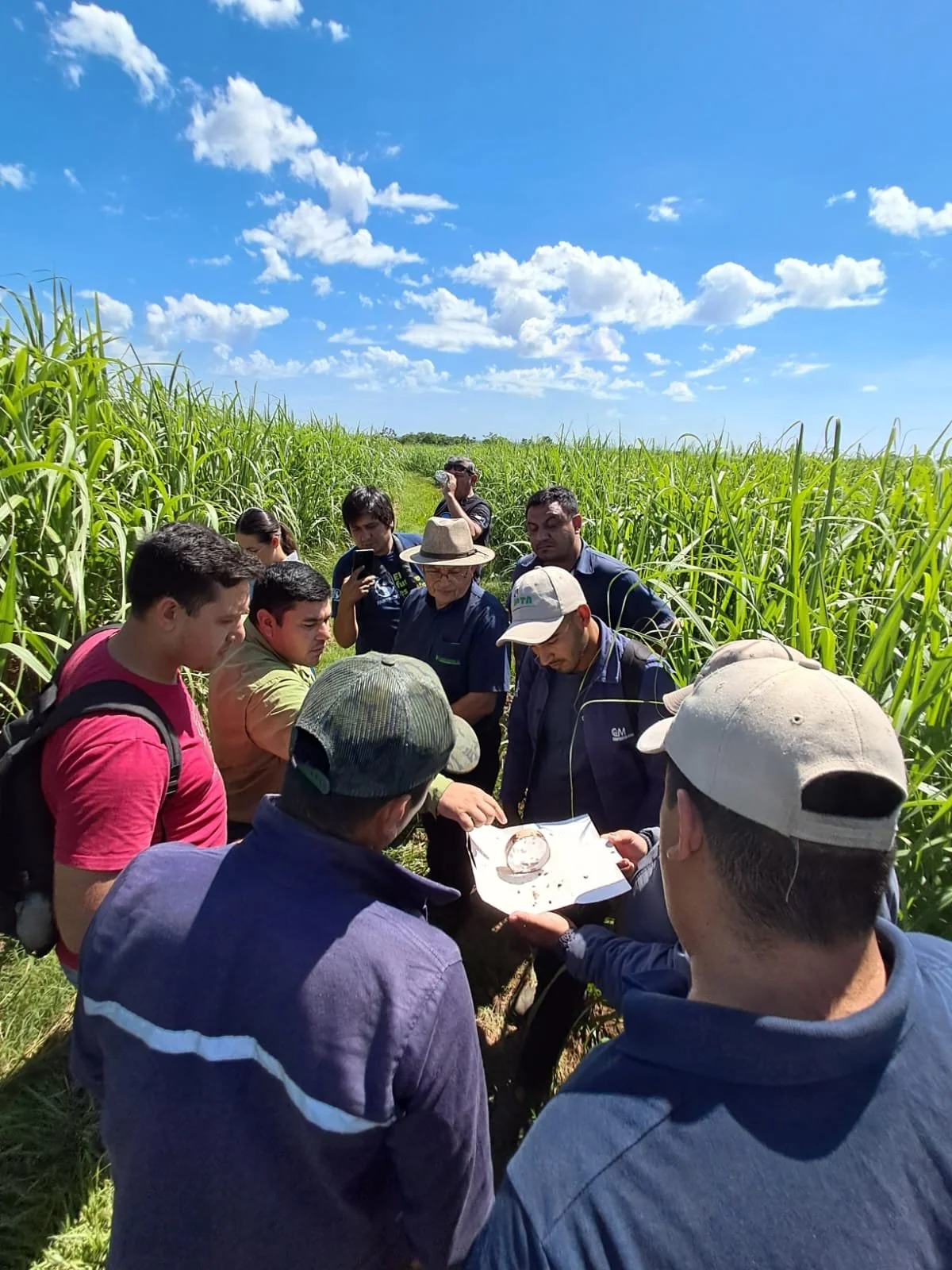 A field training organized by Manduvirá