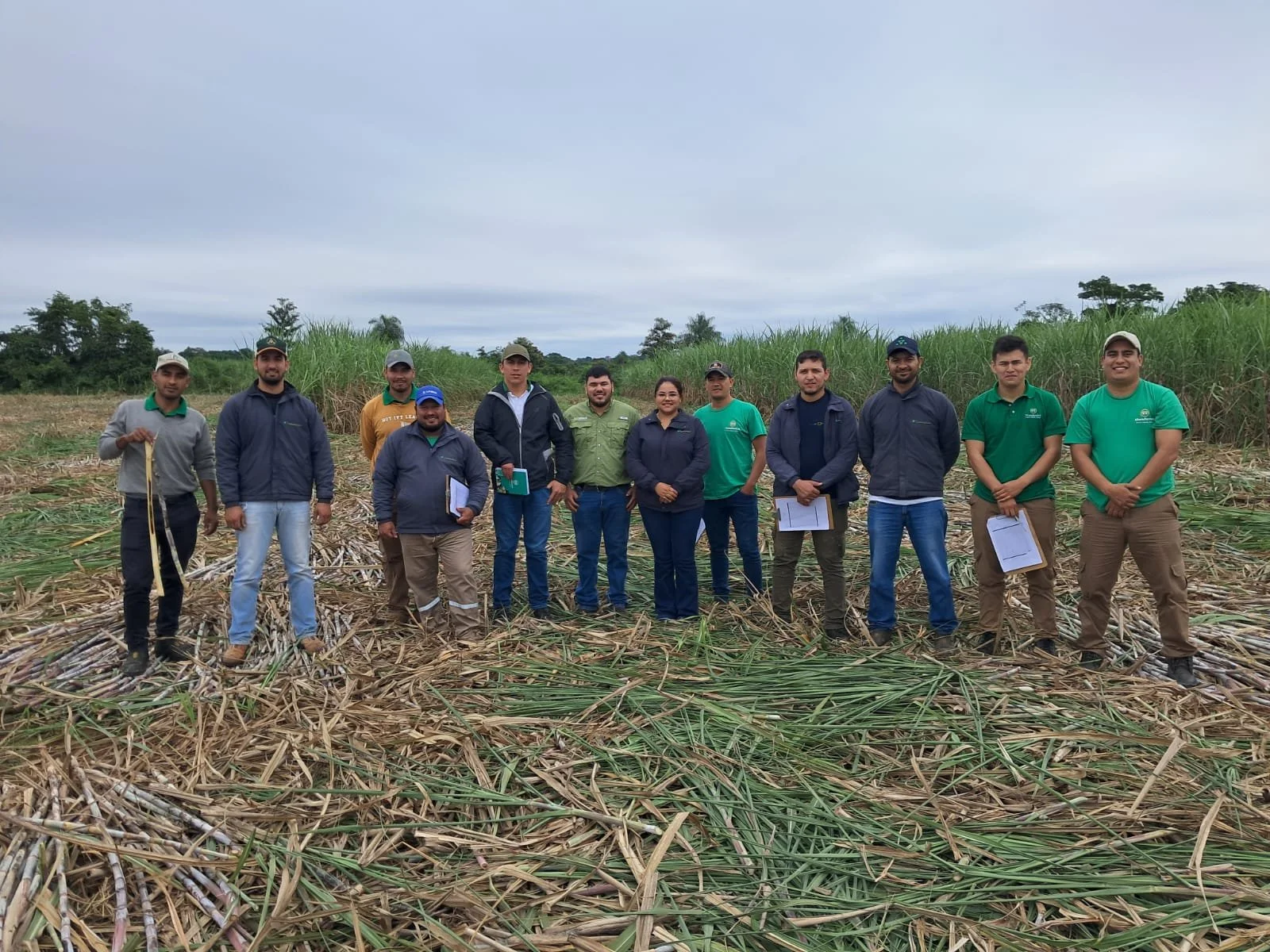 Sugarcane farmers and Manduvirá co-op staff gathering for a field training on borer pest management
