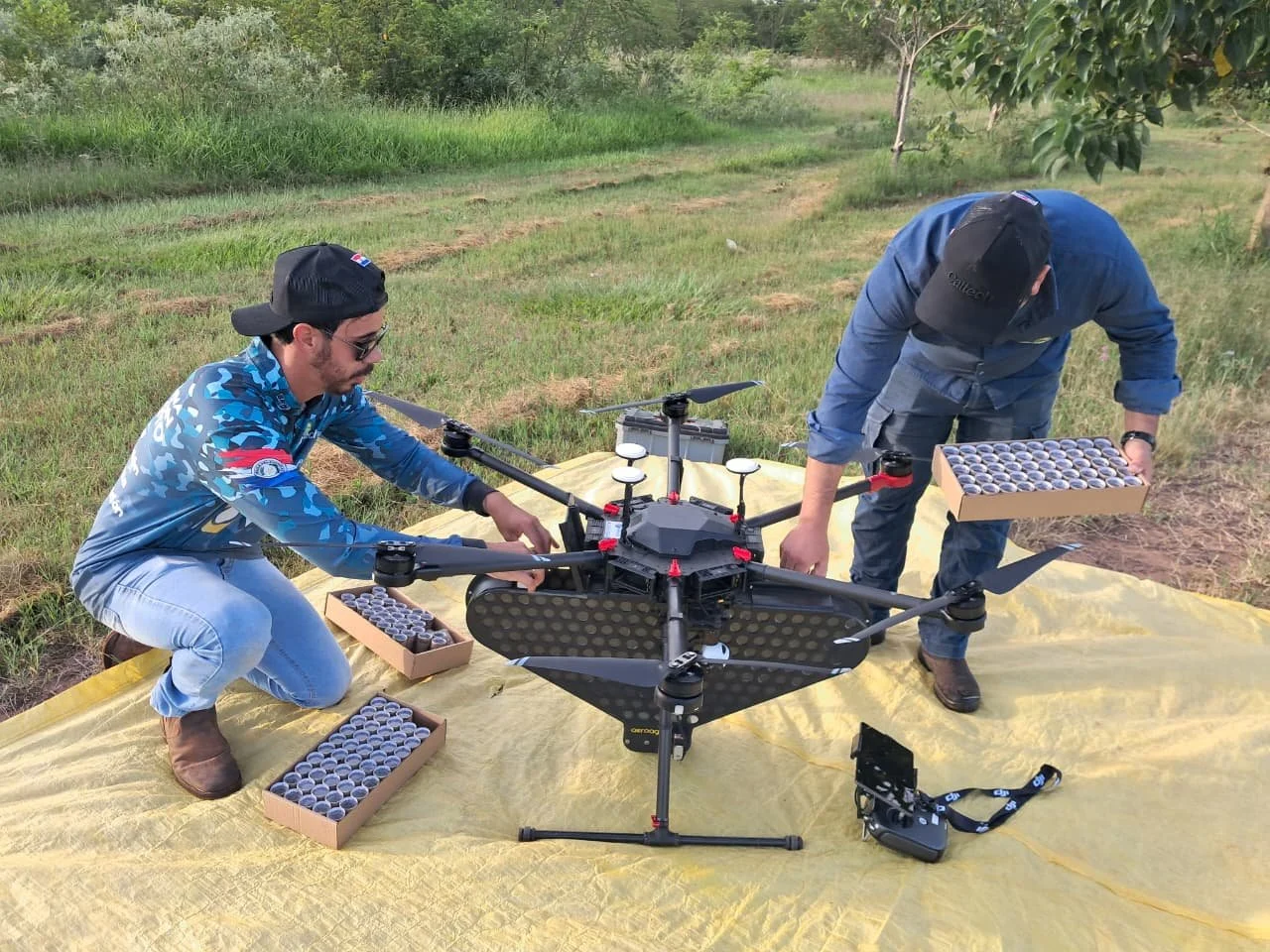 Drones Dropping Beneficial Wasps on Sugarcane Fields