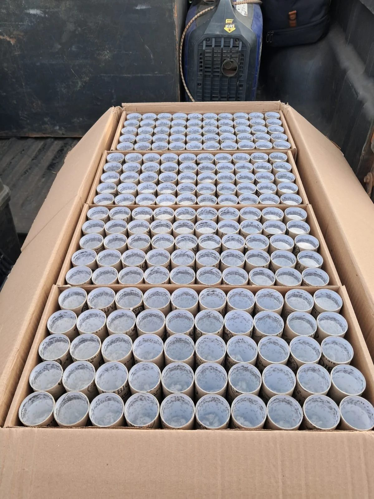 Wasps tubes ready for the drone