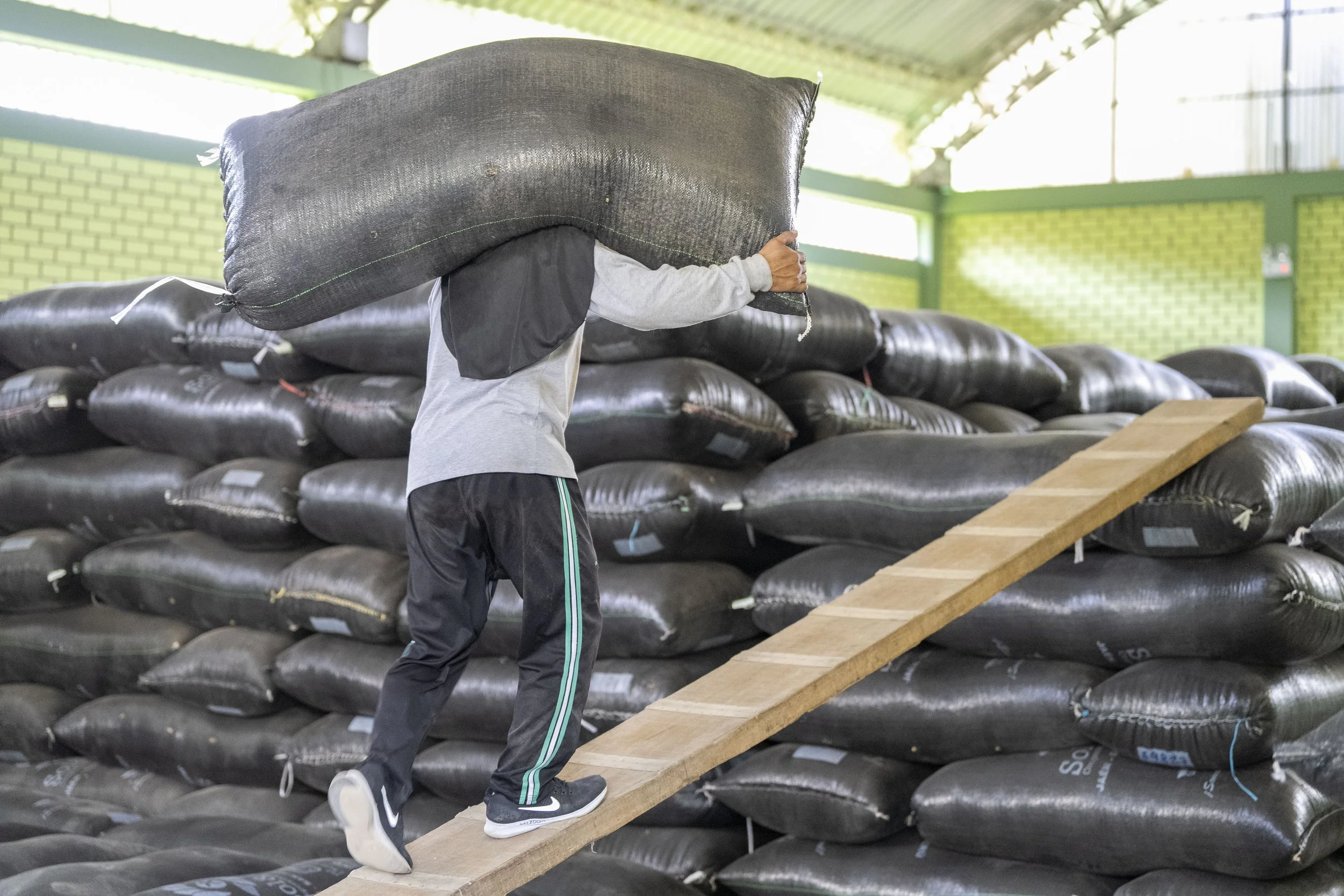 Farmer members sell their harvest to the co-op, where it is graded, milled, and exported