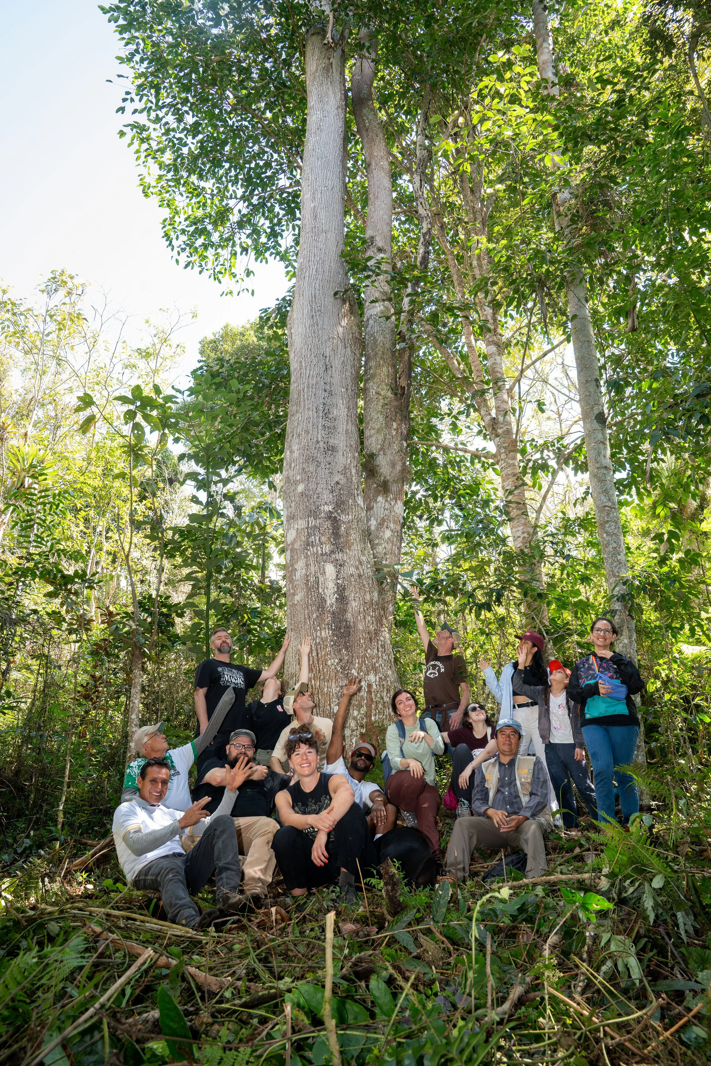 Gerardo is very proud of the largest tree on his land, in a forested area he chooses to conserve
