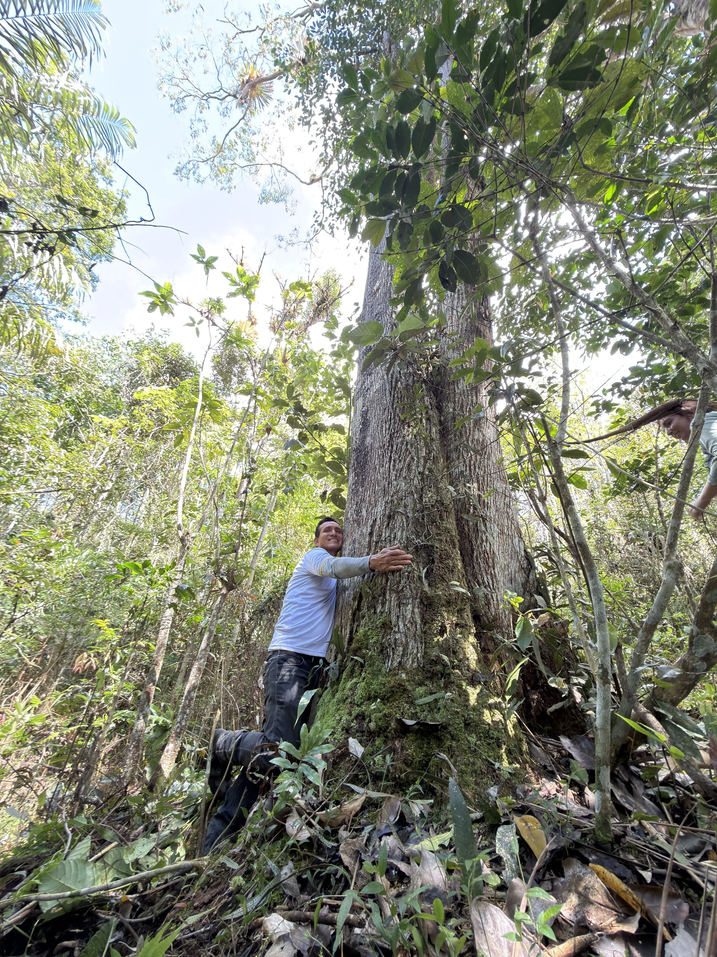 Part of Gerardo’s conservation efforts have included preserving the largest and oldest tree on his family’s land