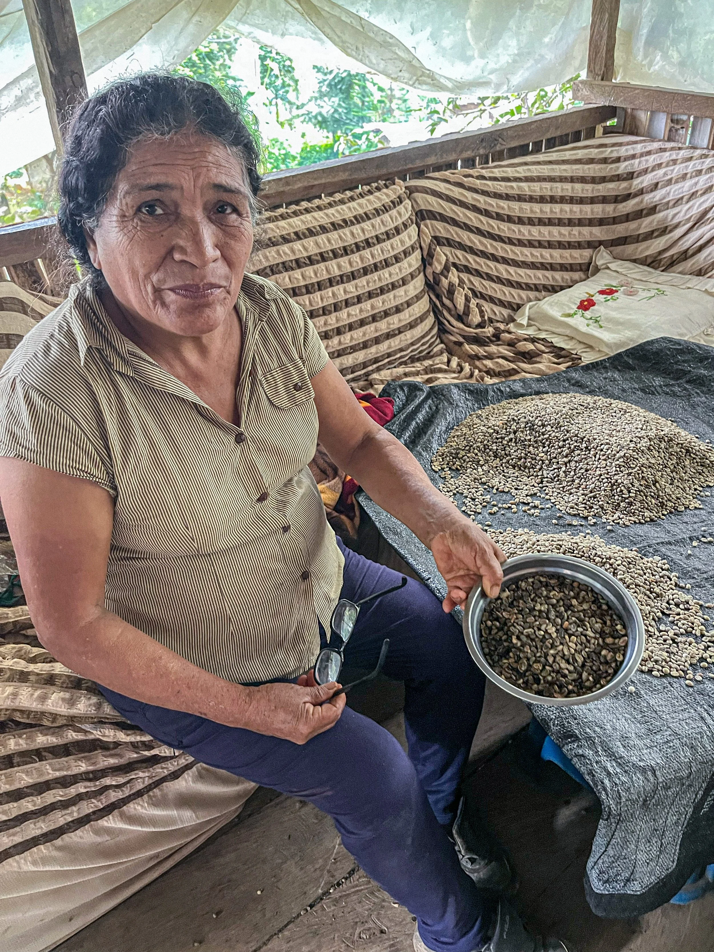 Santos Florentina Lizana Laban sorting defects out of her green coffee harvest